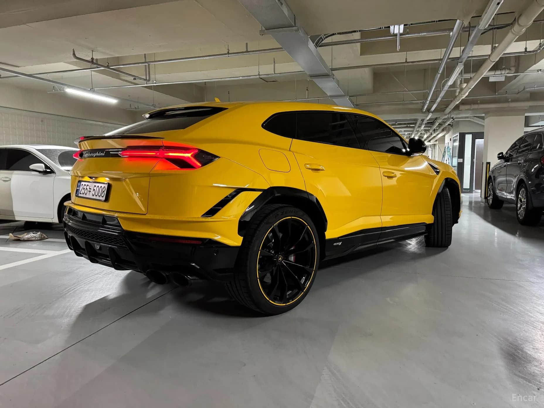 Urus