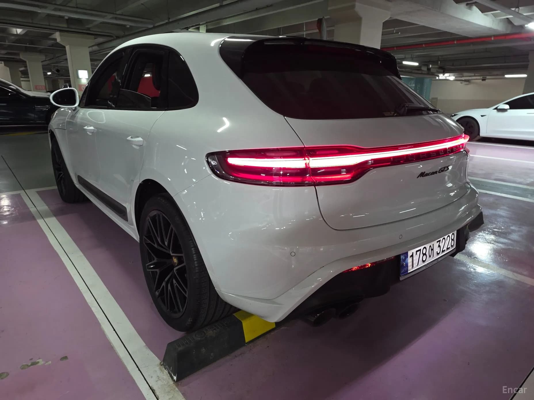 Macan