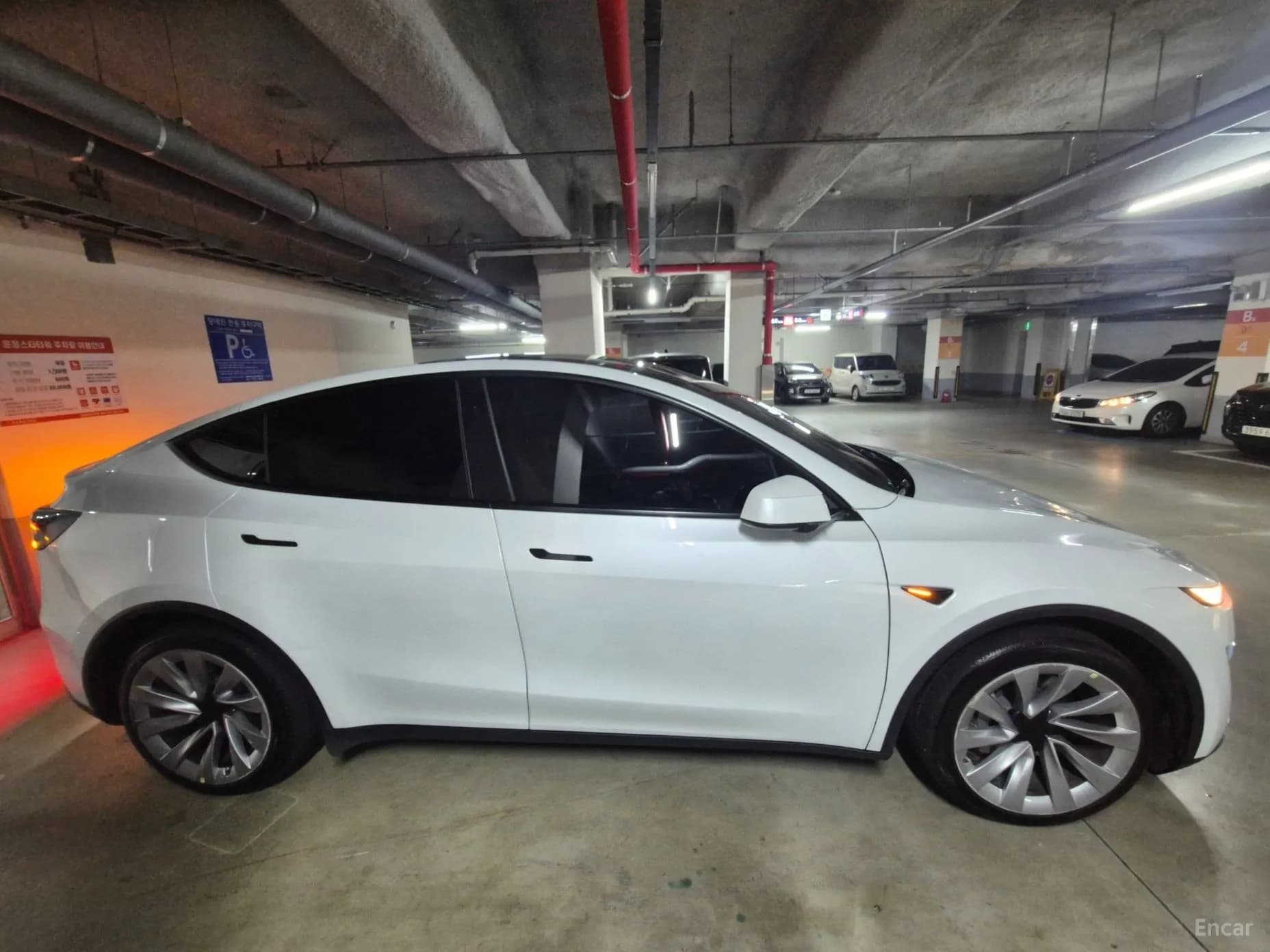 Model Y