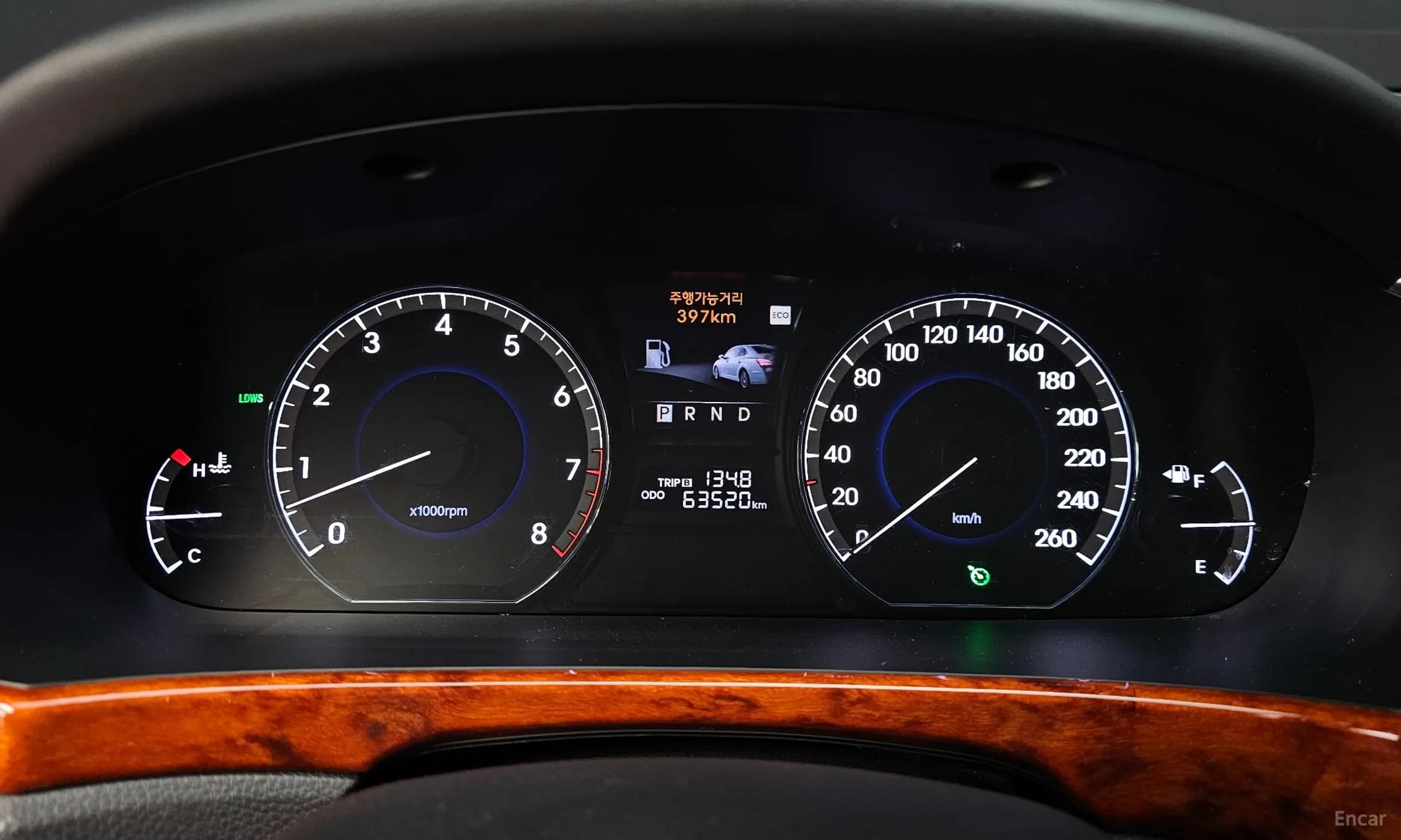 Equus (new)