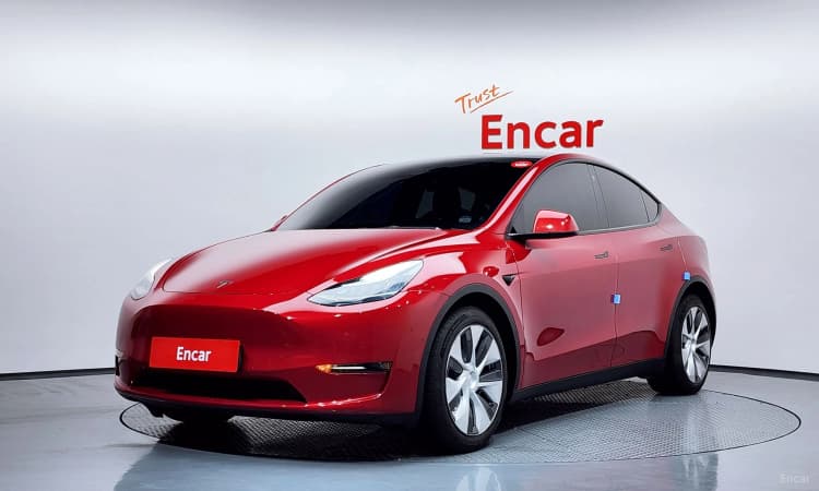 Model Y
