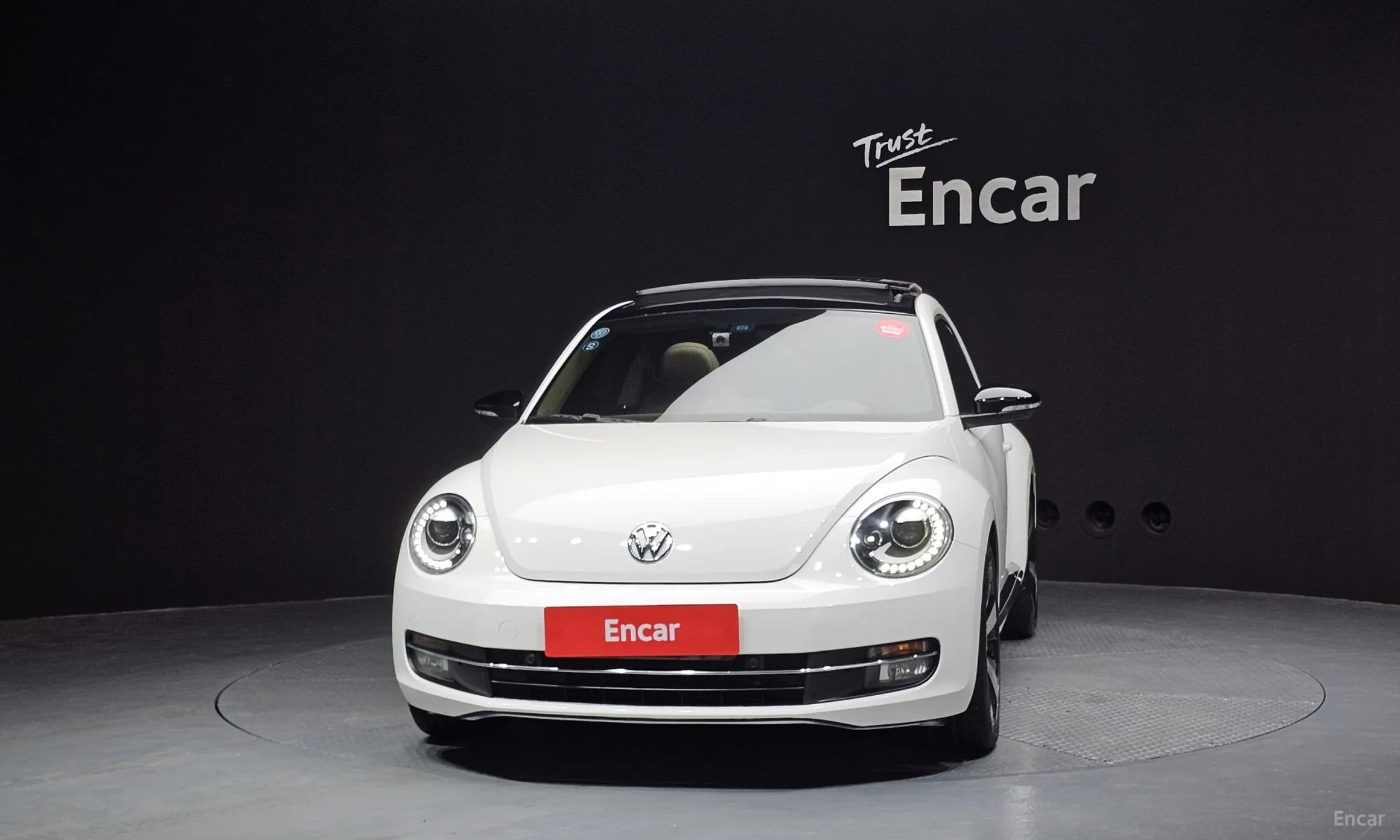 The Beetle