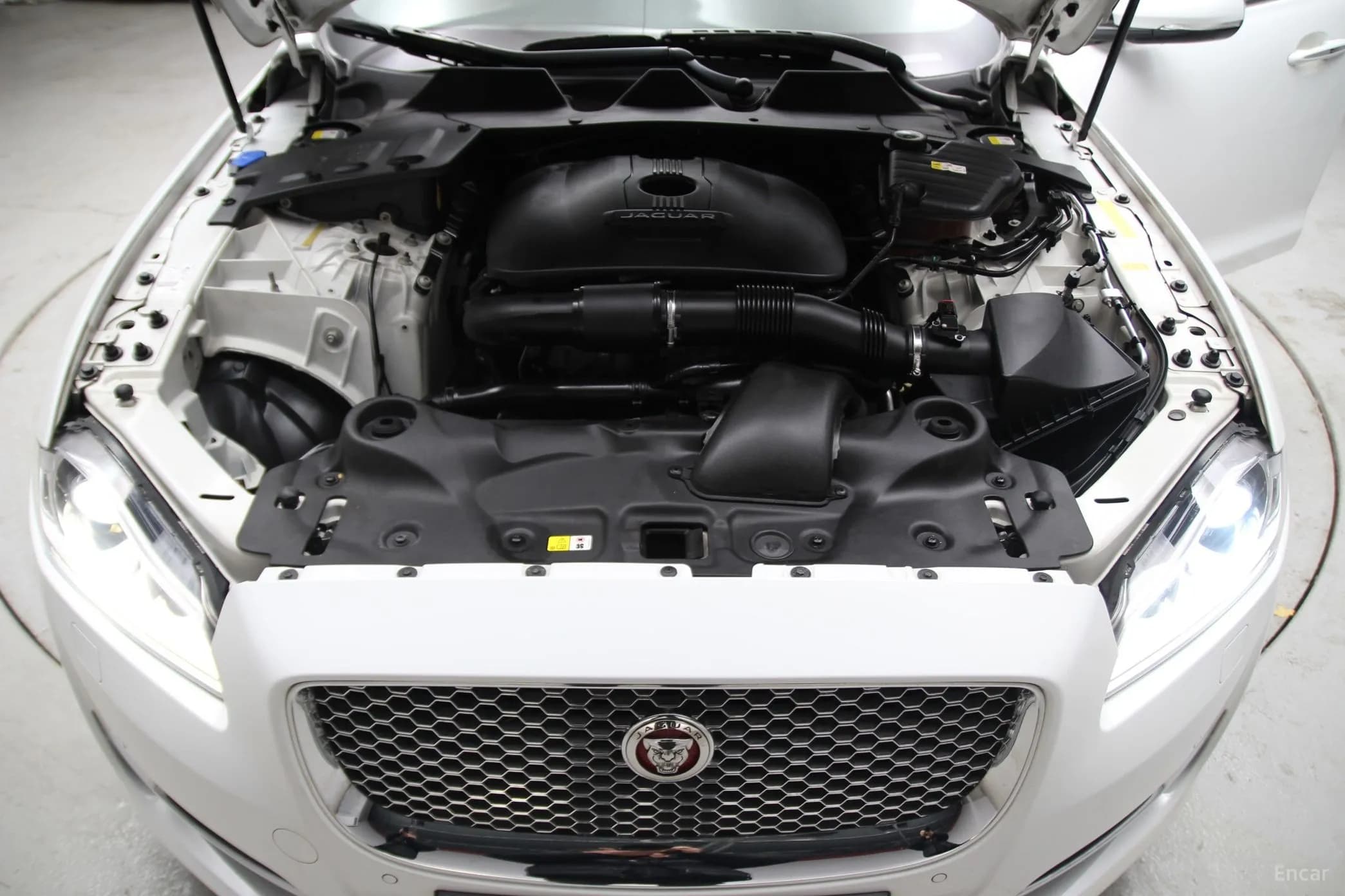 All New XJ