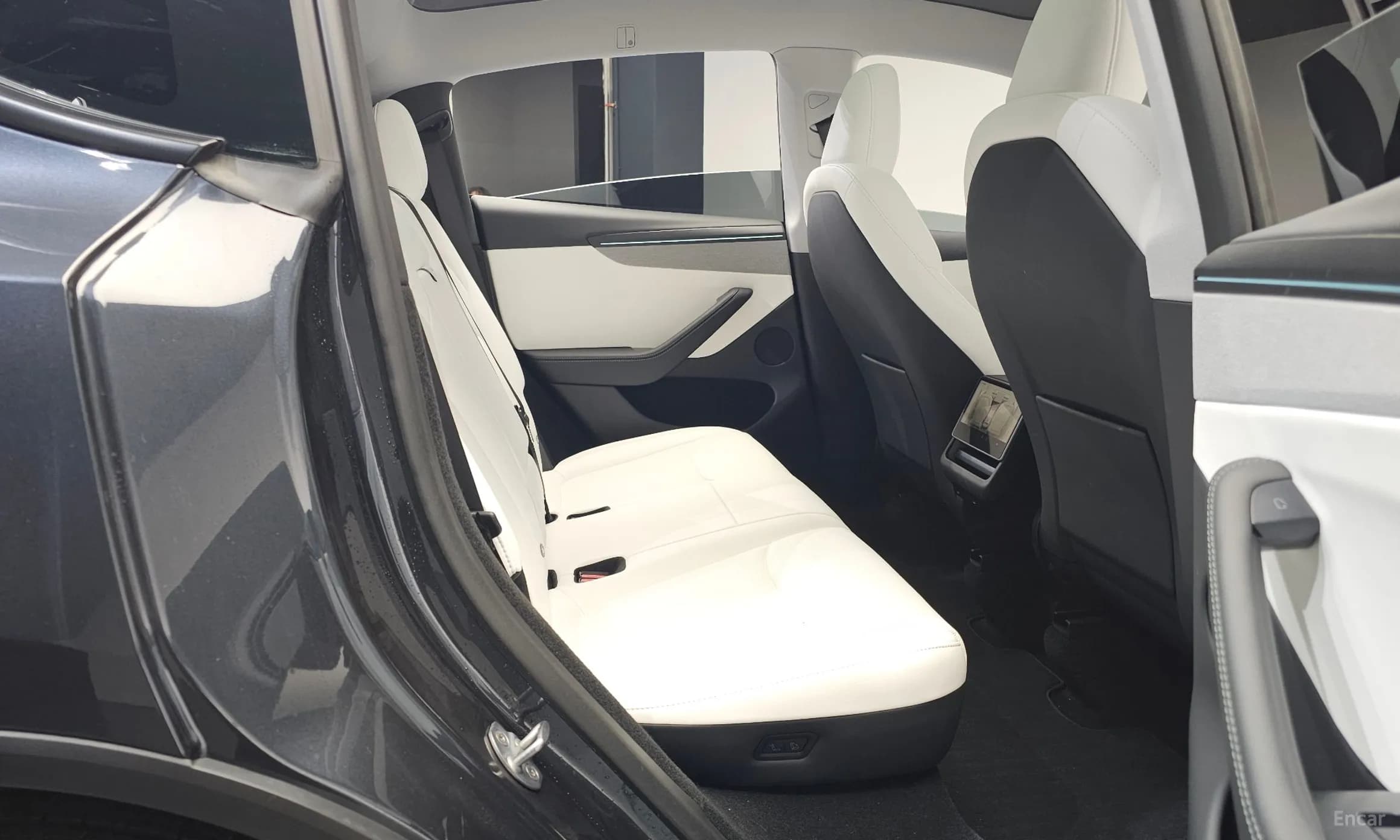 Model Y