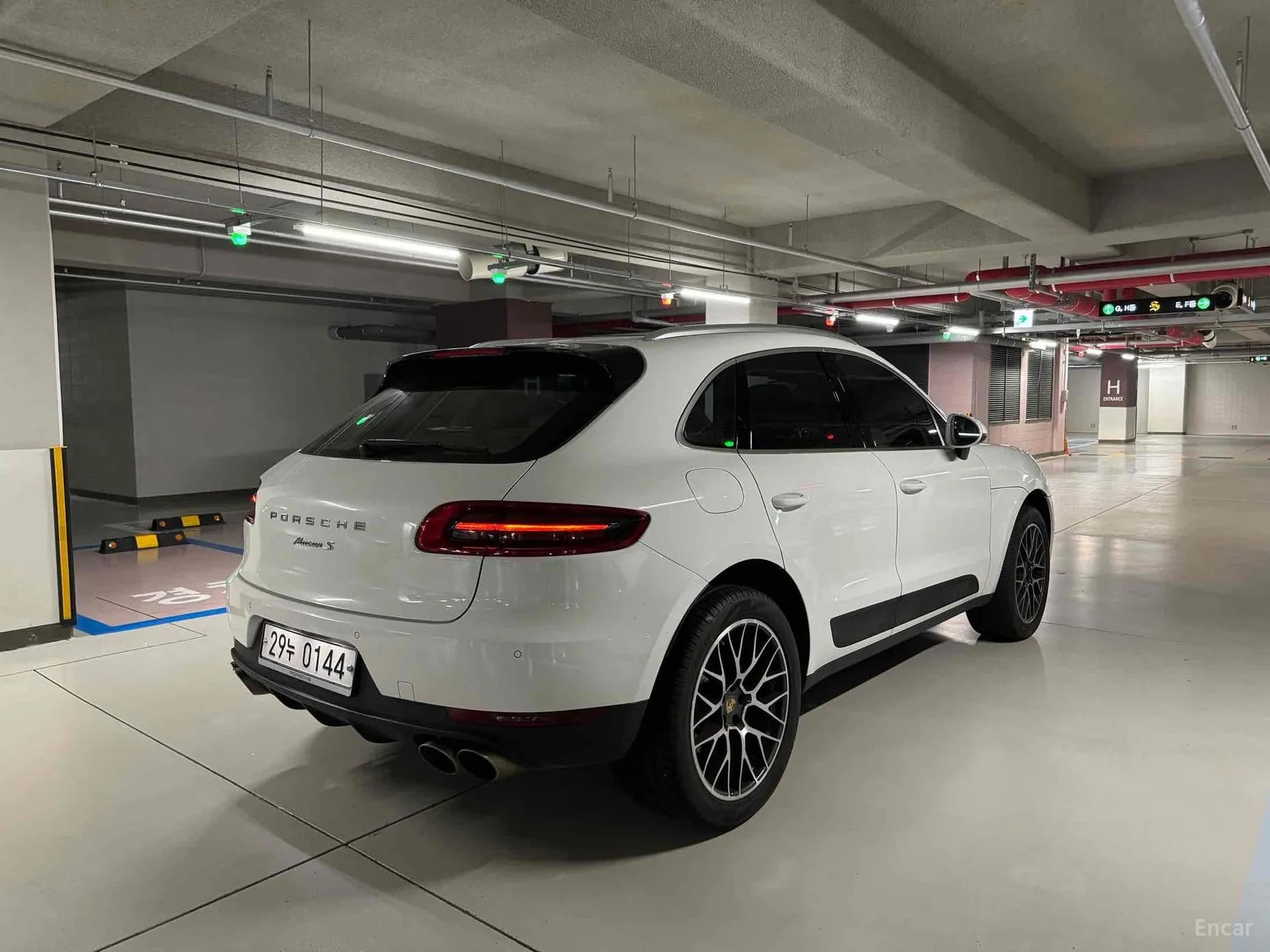 Macan