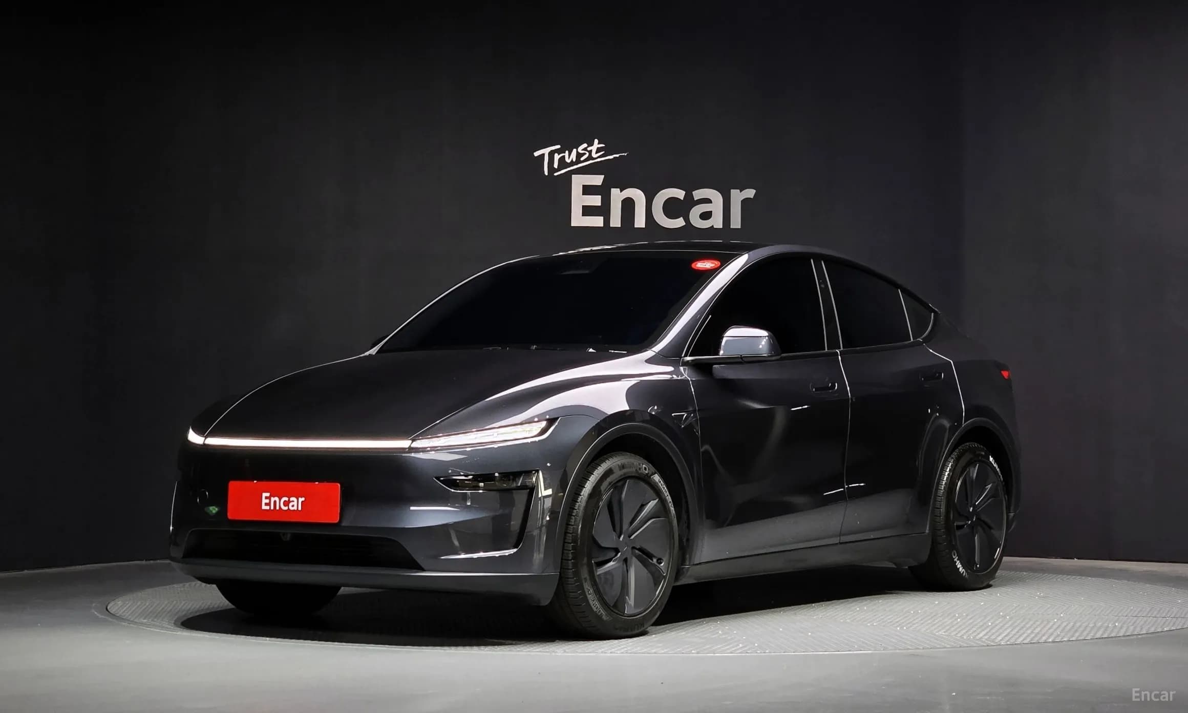 Model Y