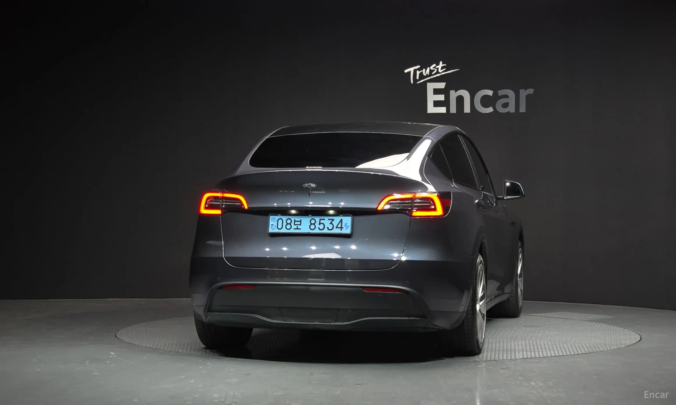 Model Y
