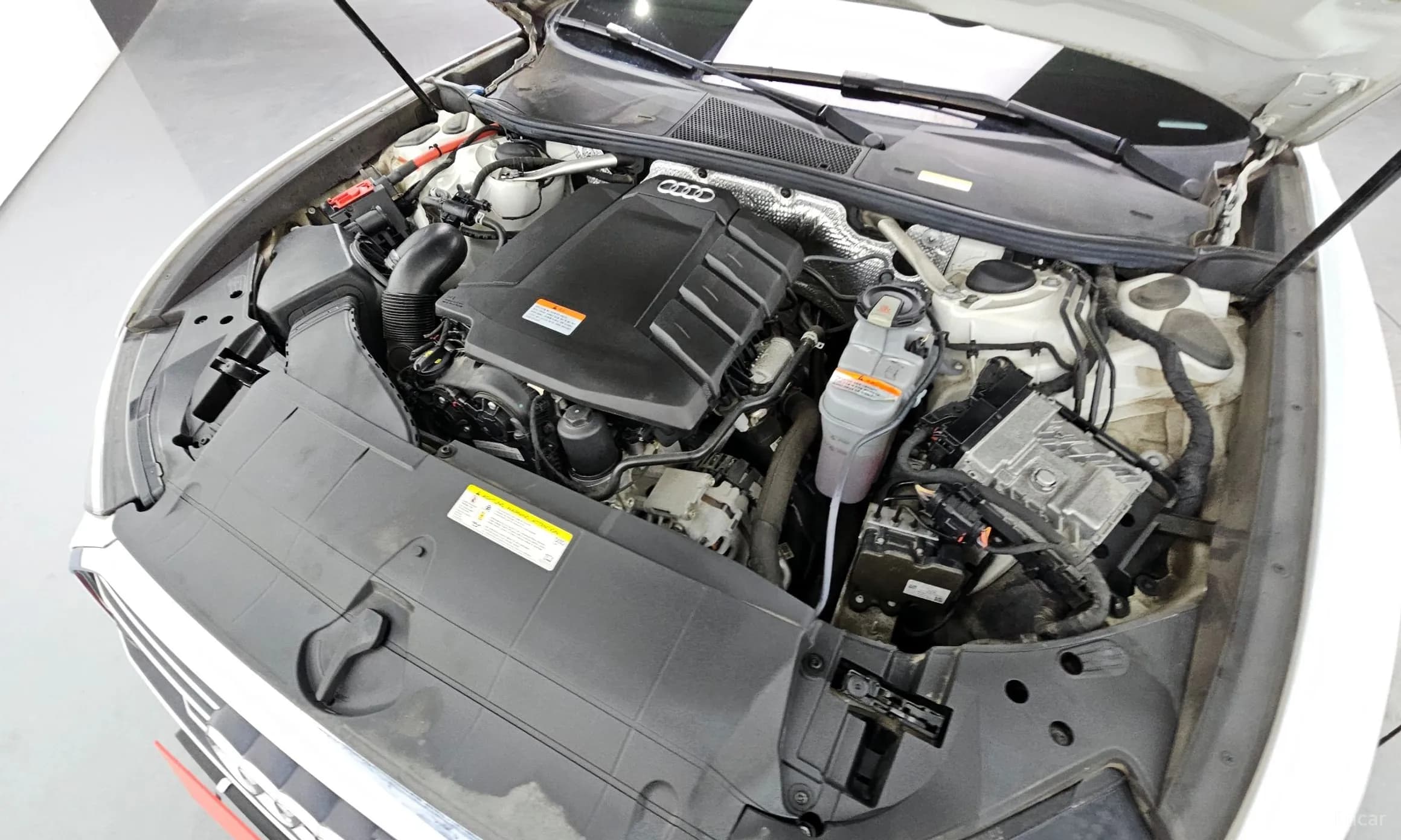 A6 (C8)