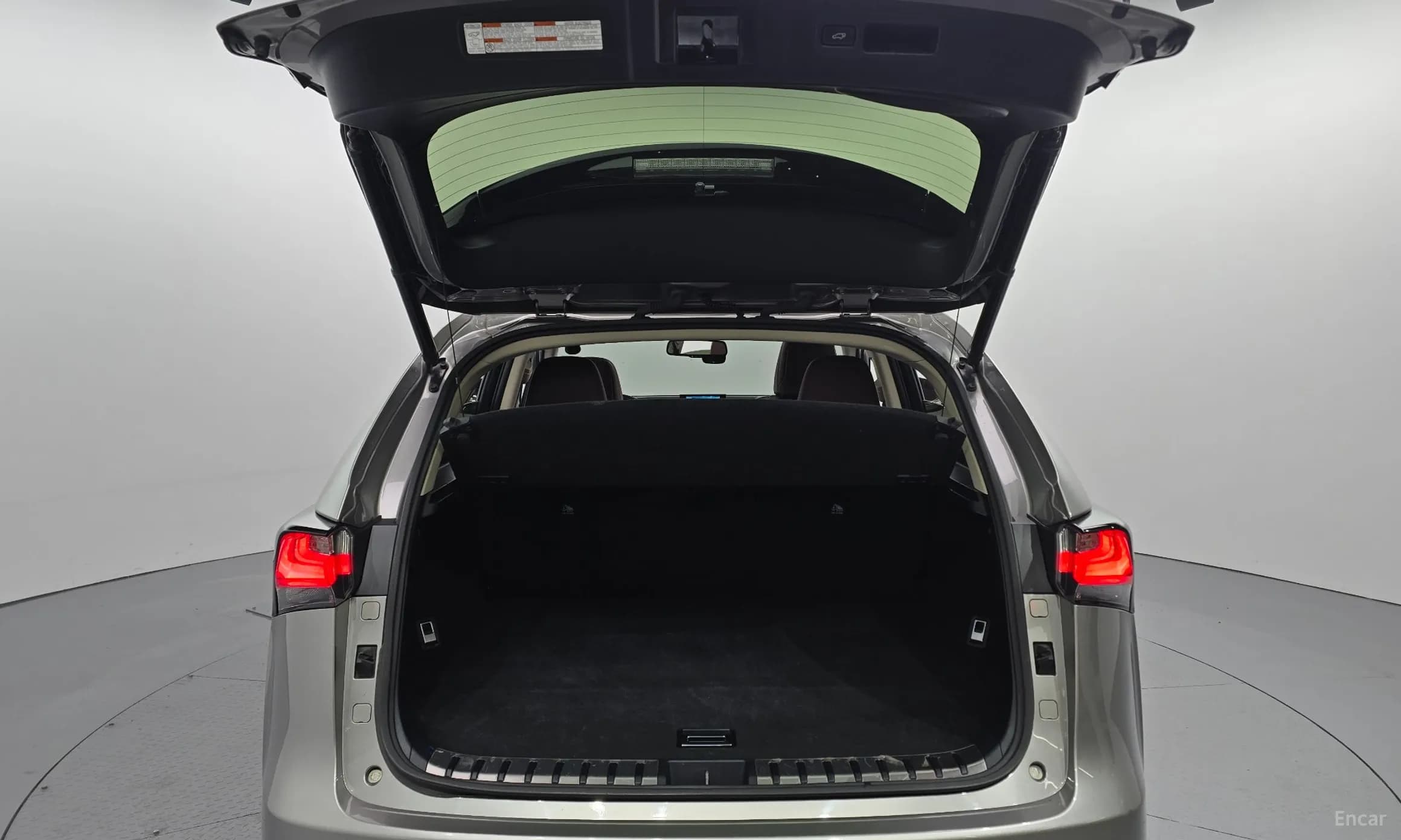 NX300h