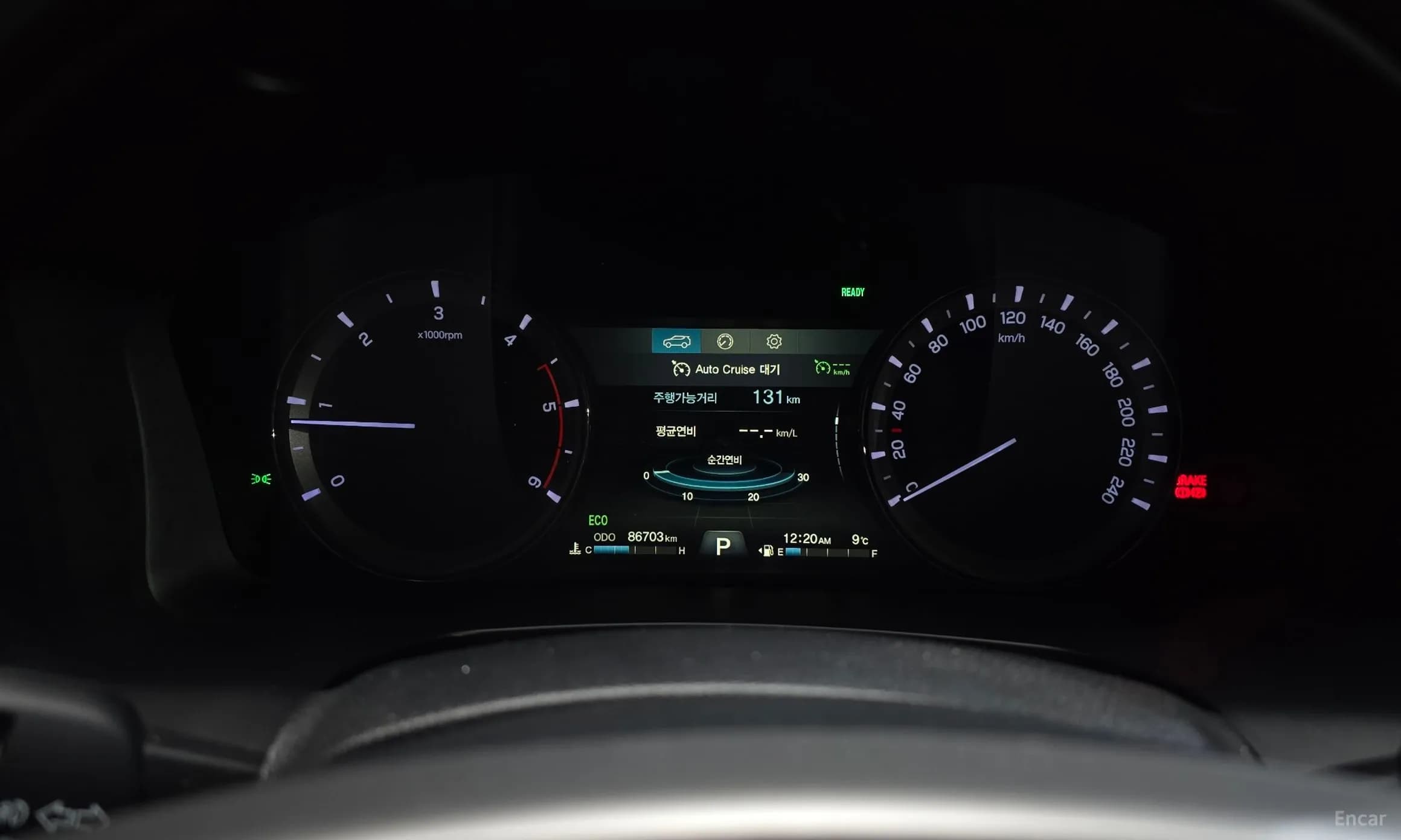 Rexton Sports