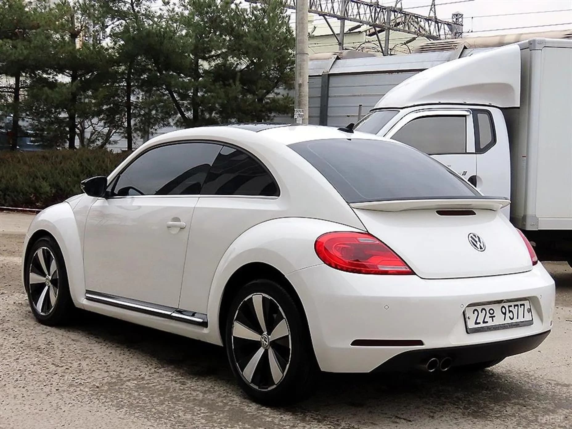 The Beetle