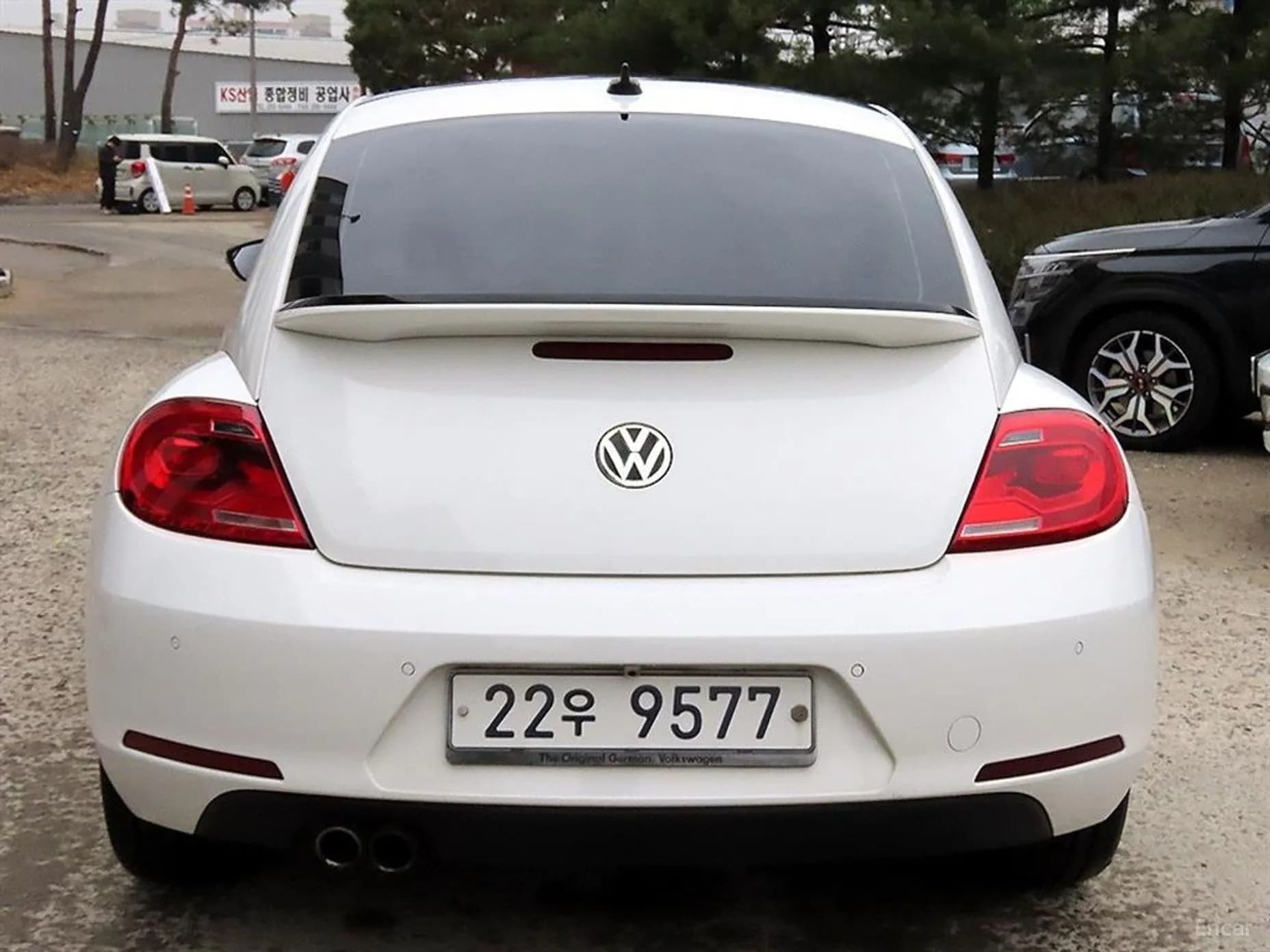 The Beetle