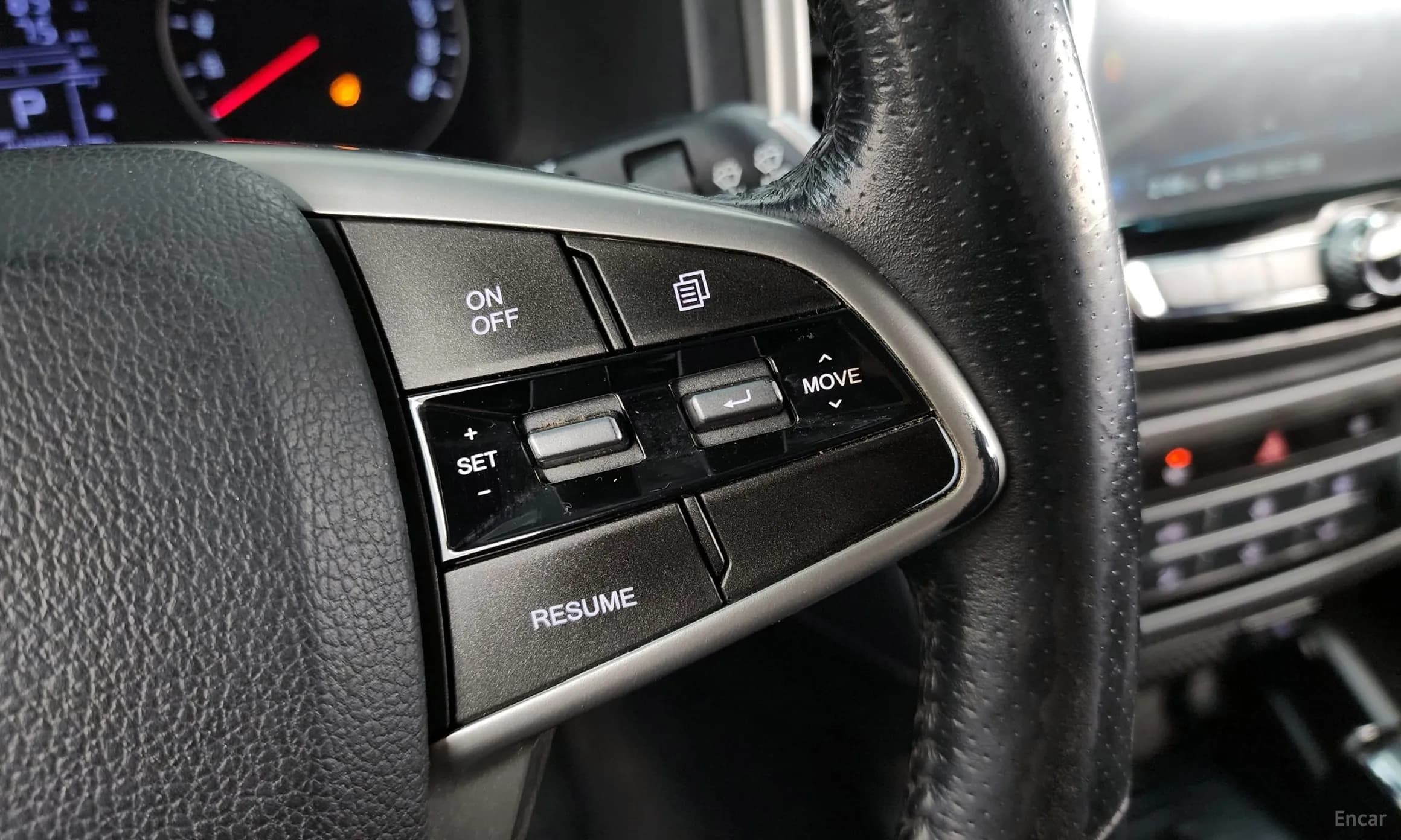 Rexton Sports