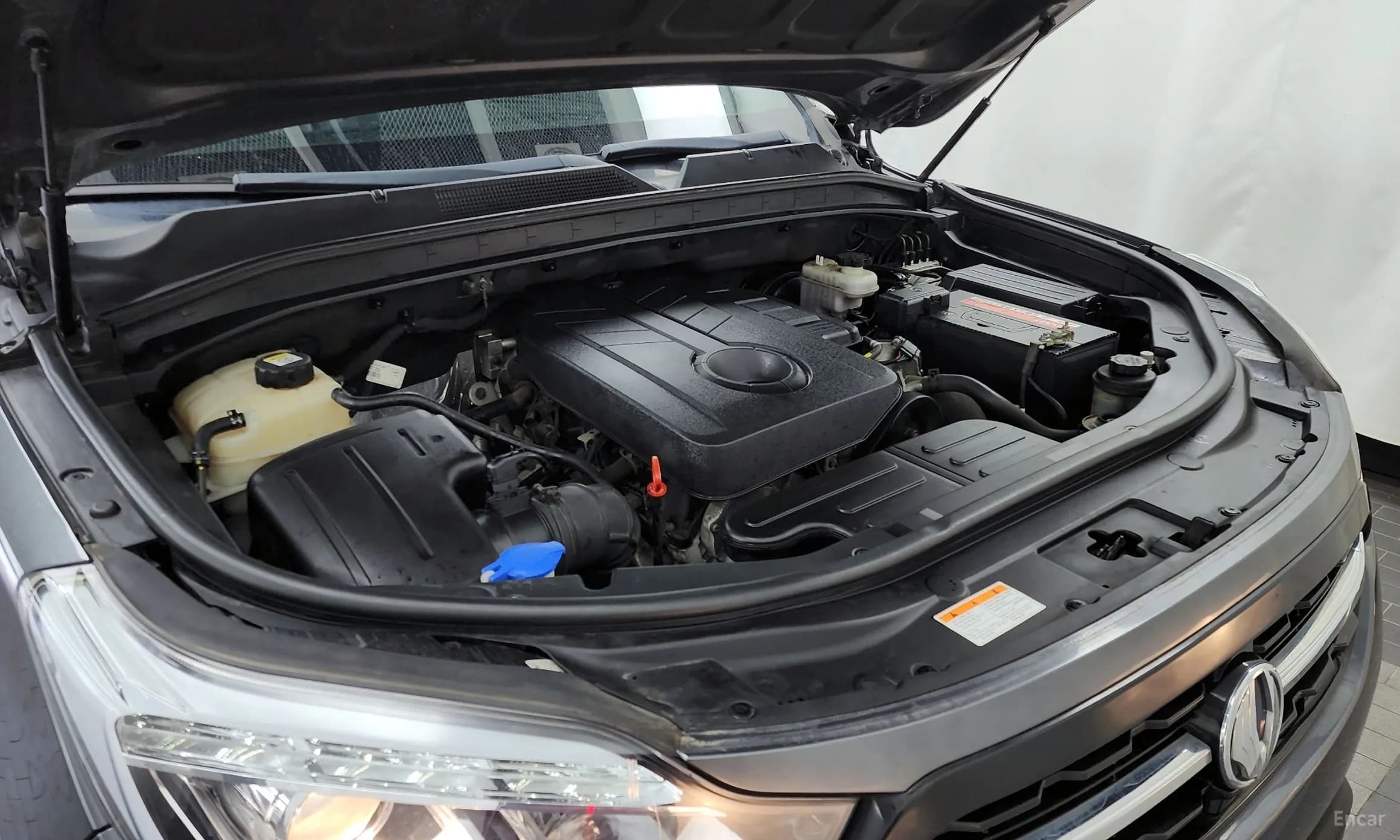 Rexton Sports