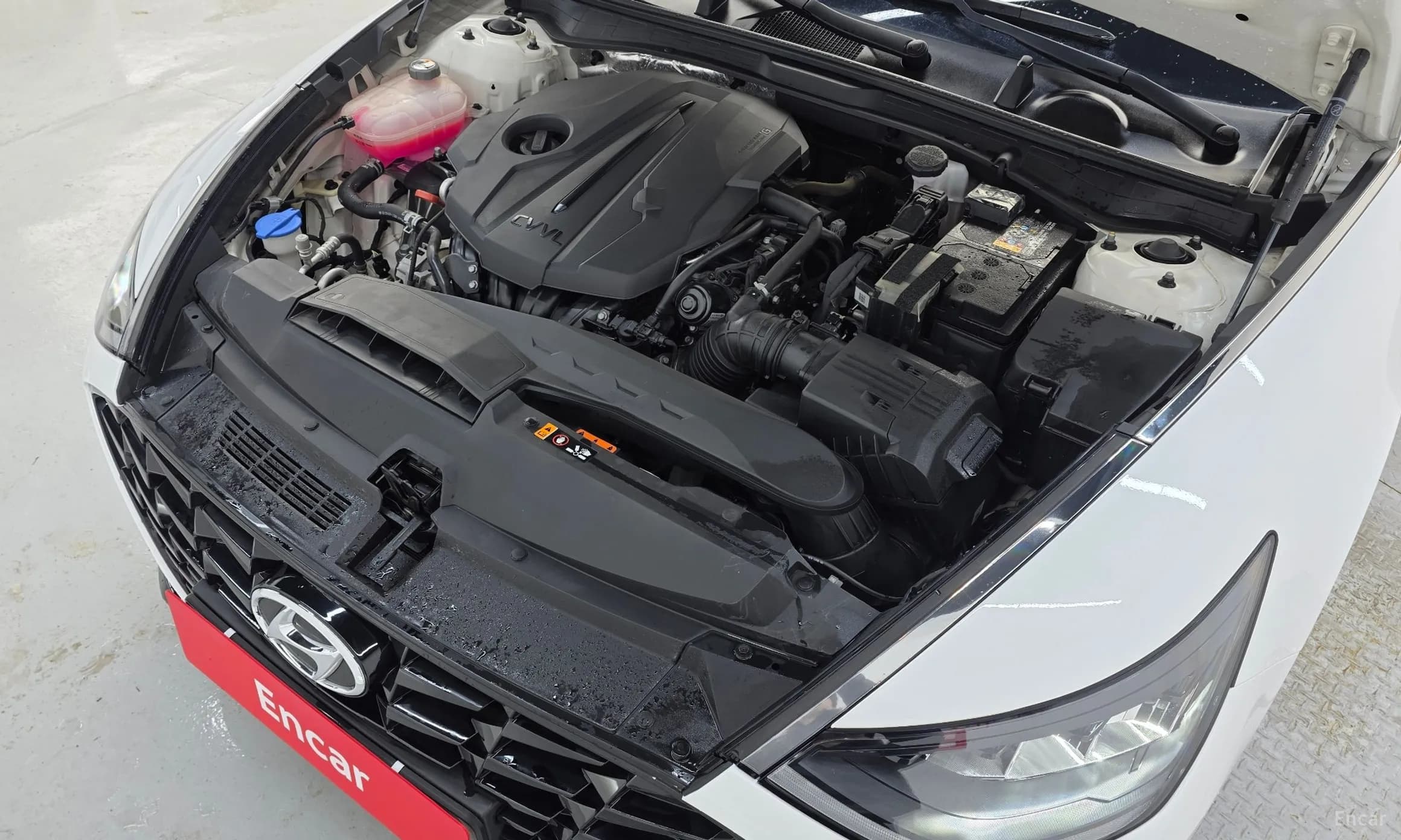 Sonata (DN8)
