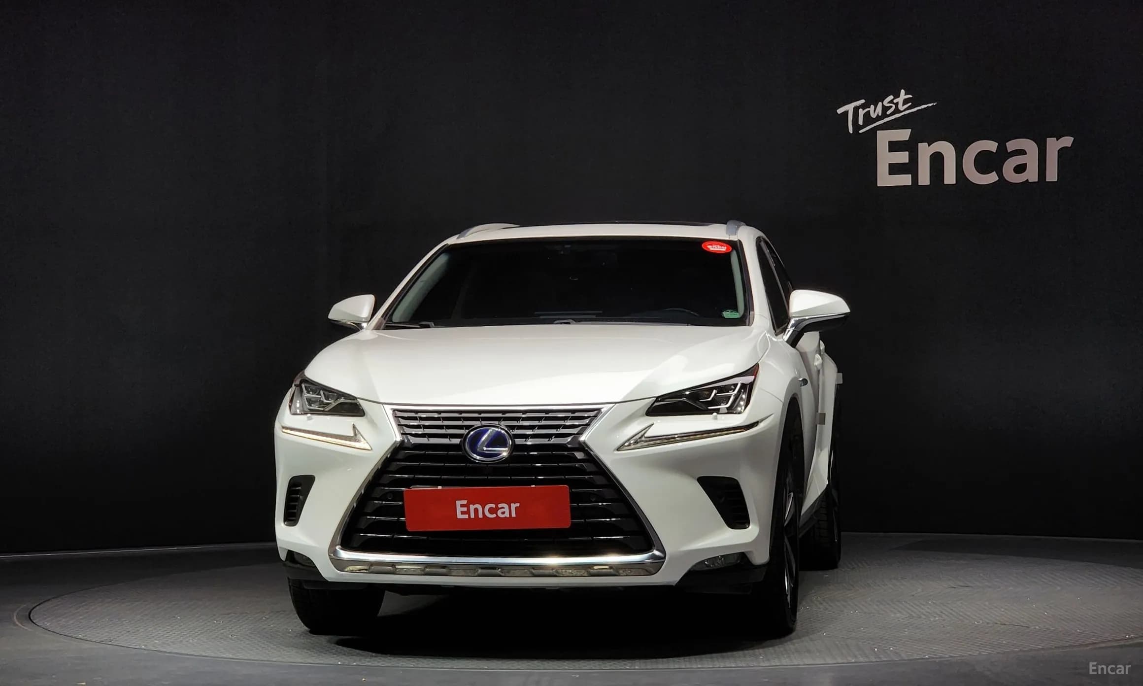NX300h