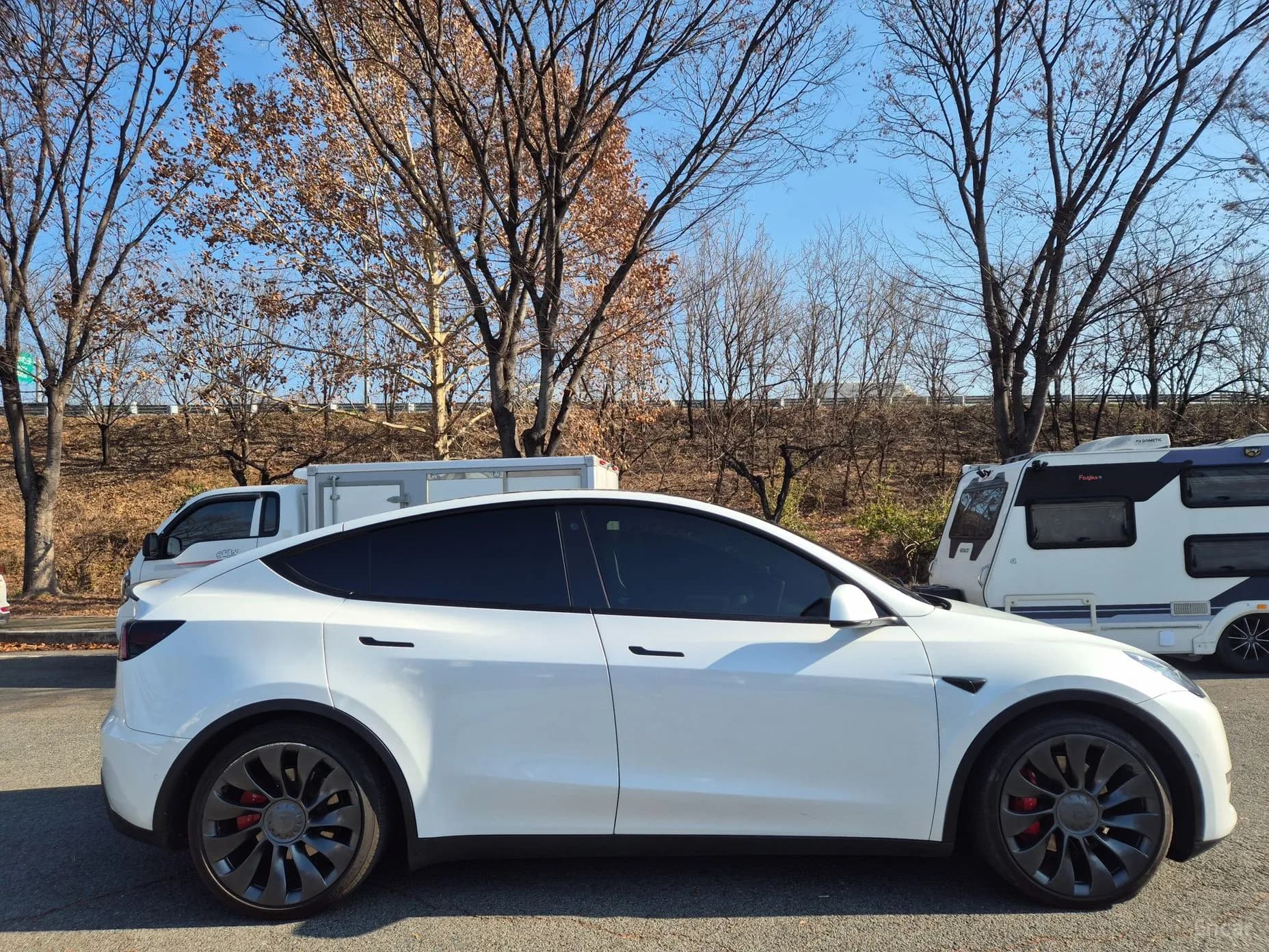 Model Y