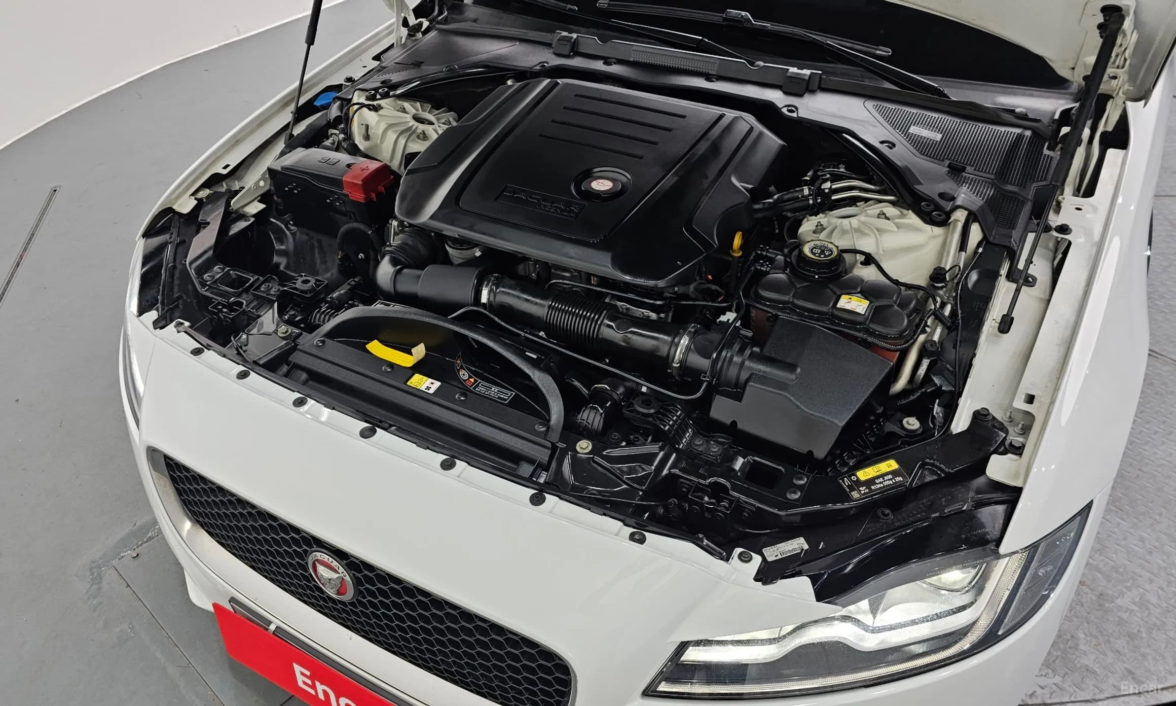 XF (x260)