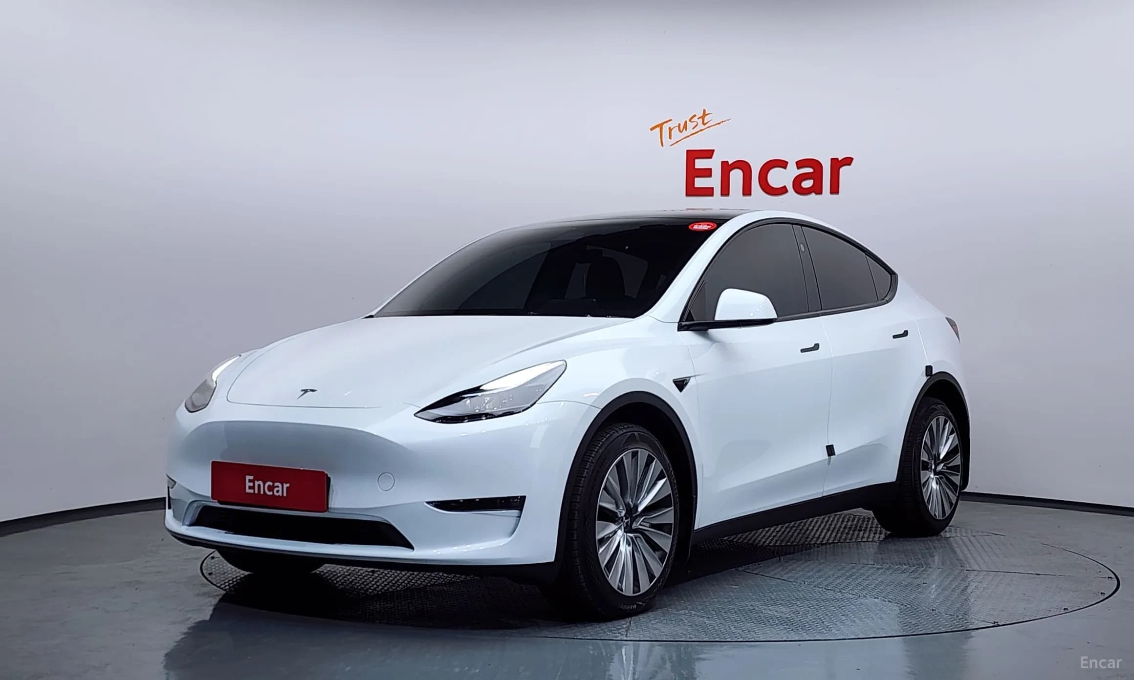 Model Y