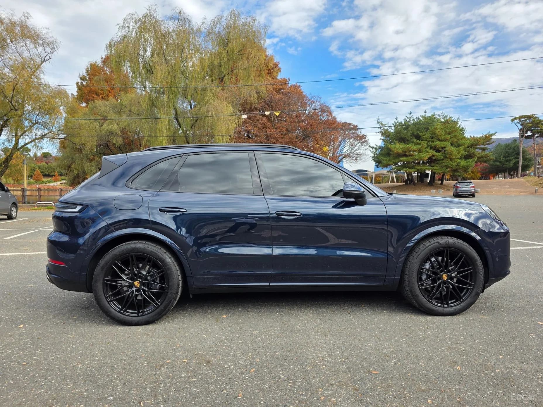 Cayenne (PO536)