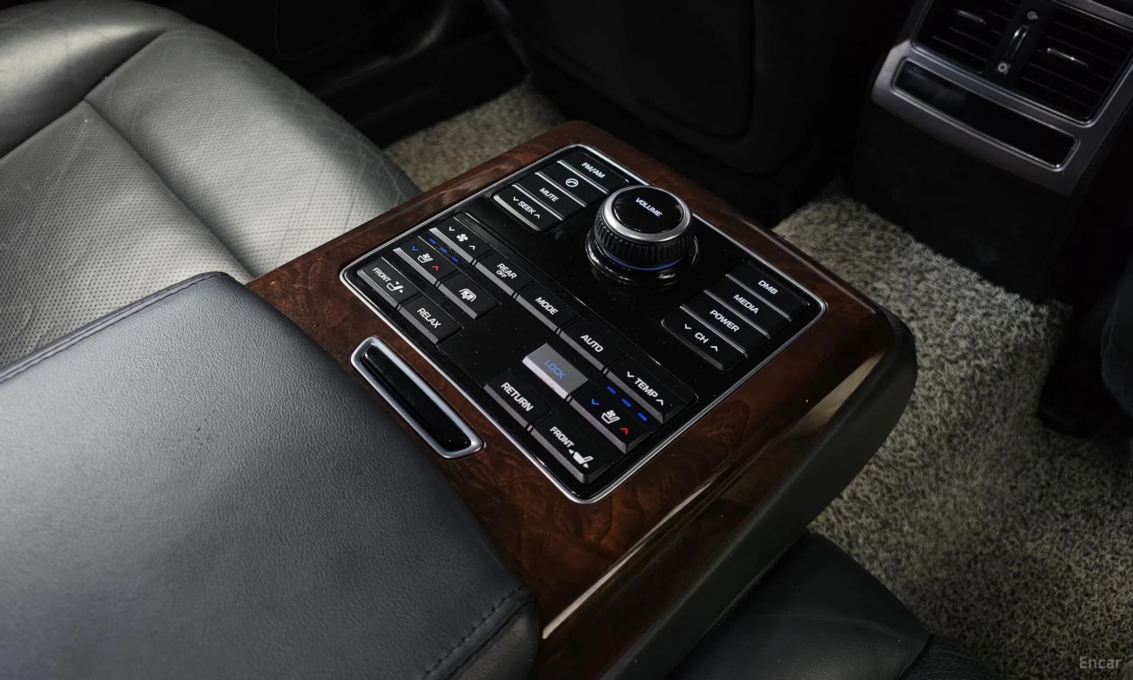 Equus (new)