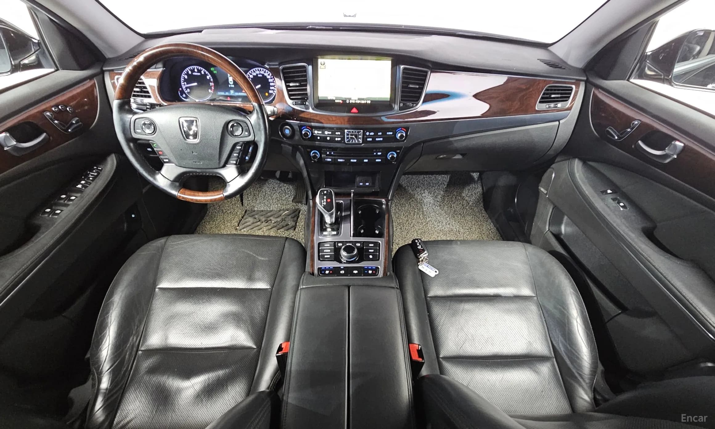 Equus (new)