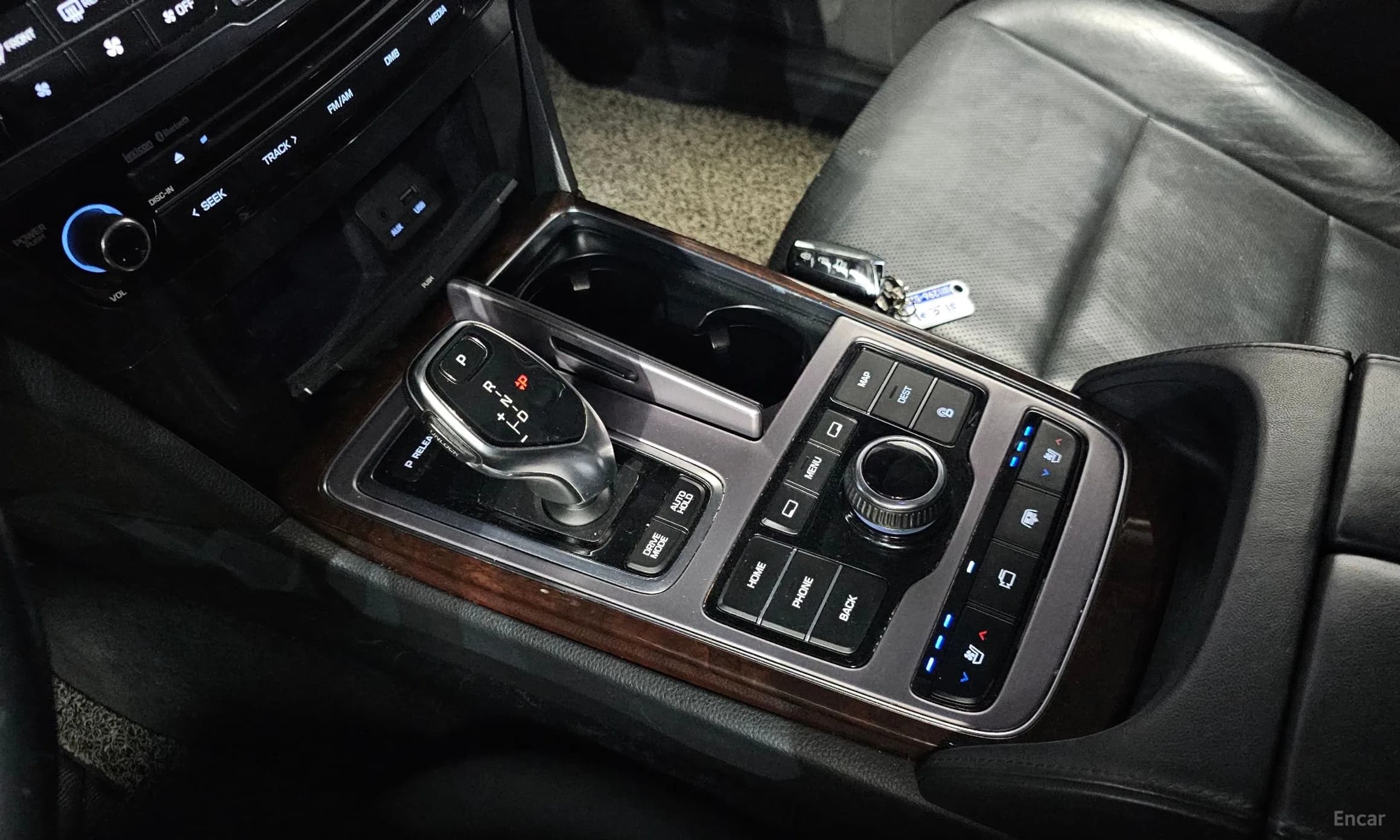 Equus (new)