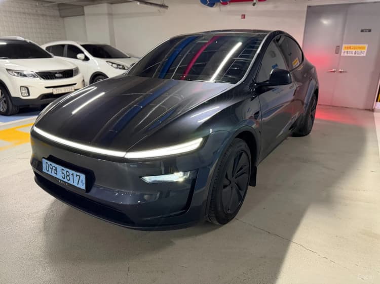 Model Y