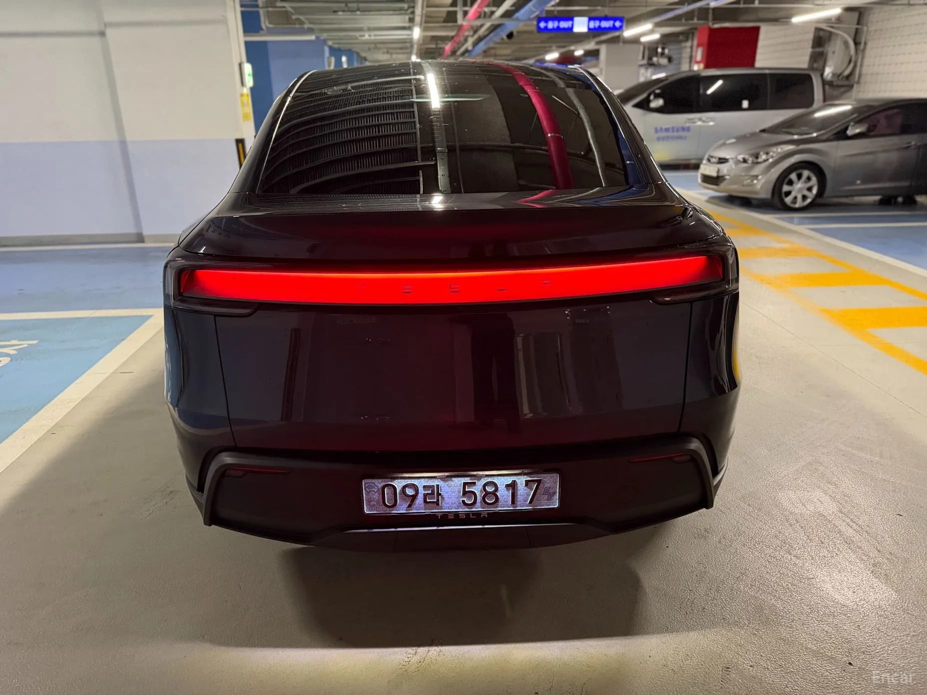 Model Y