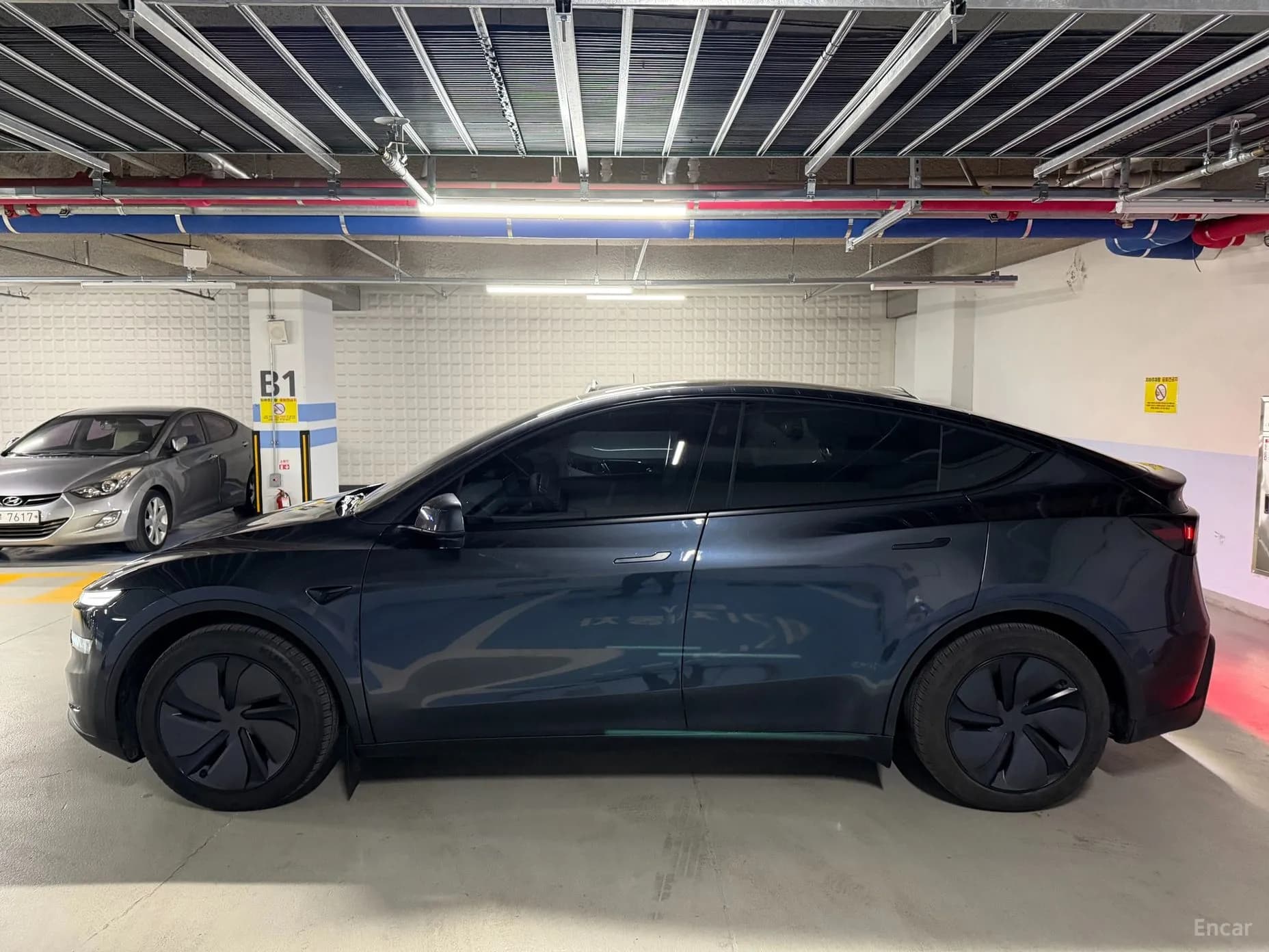 Model Y