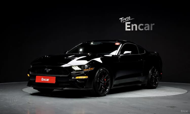 Mustang