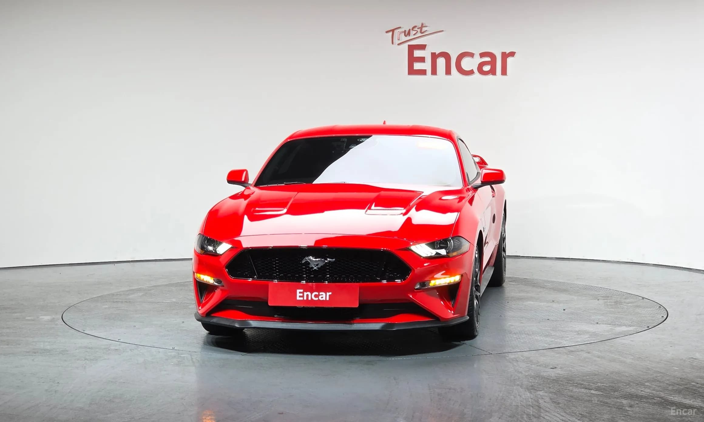 Mustang