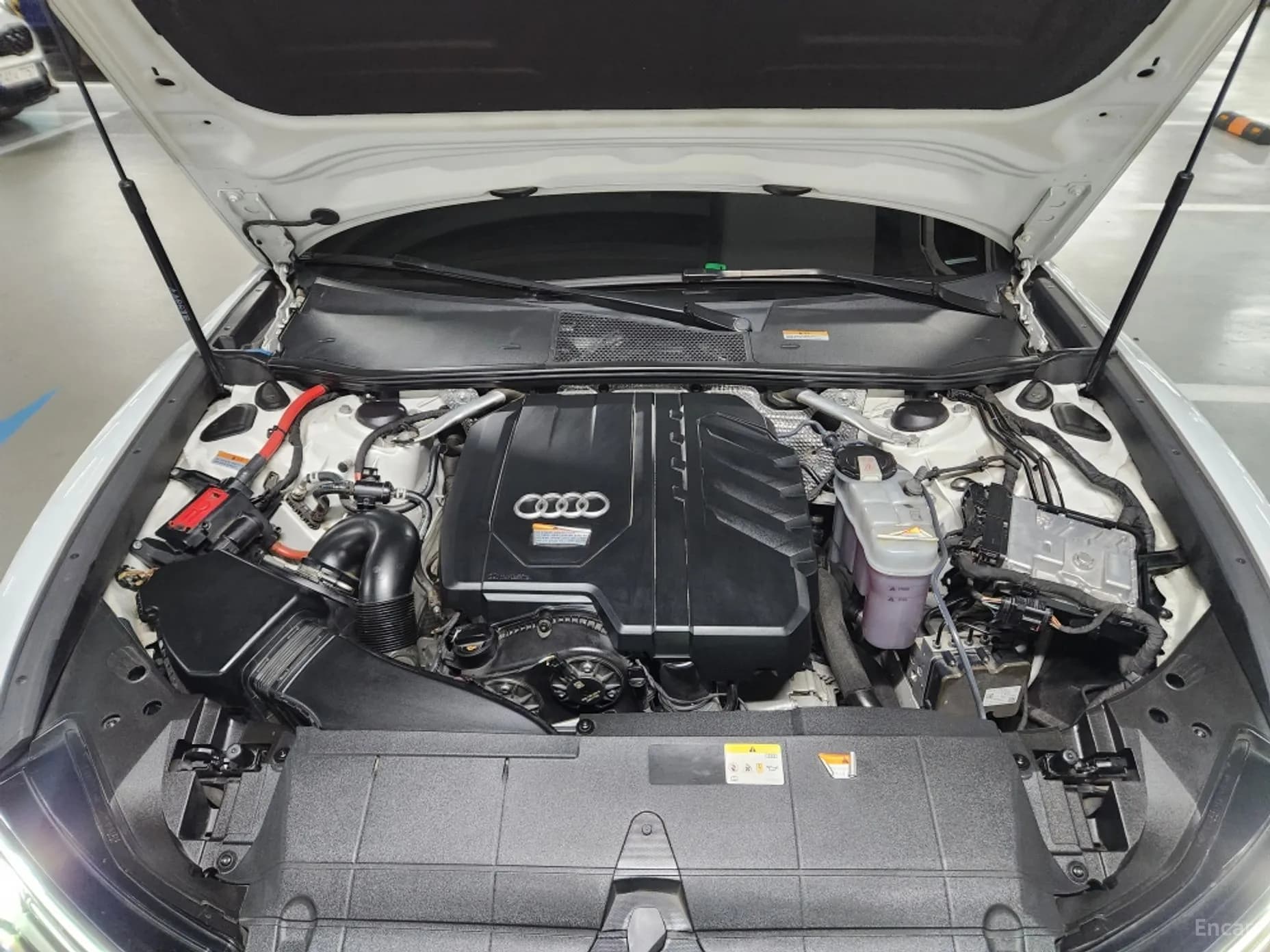 A6 (C8)