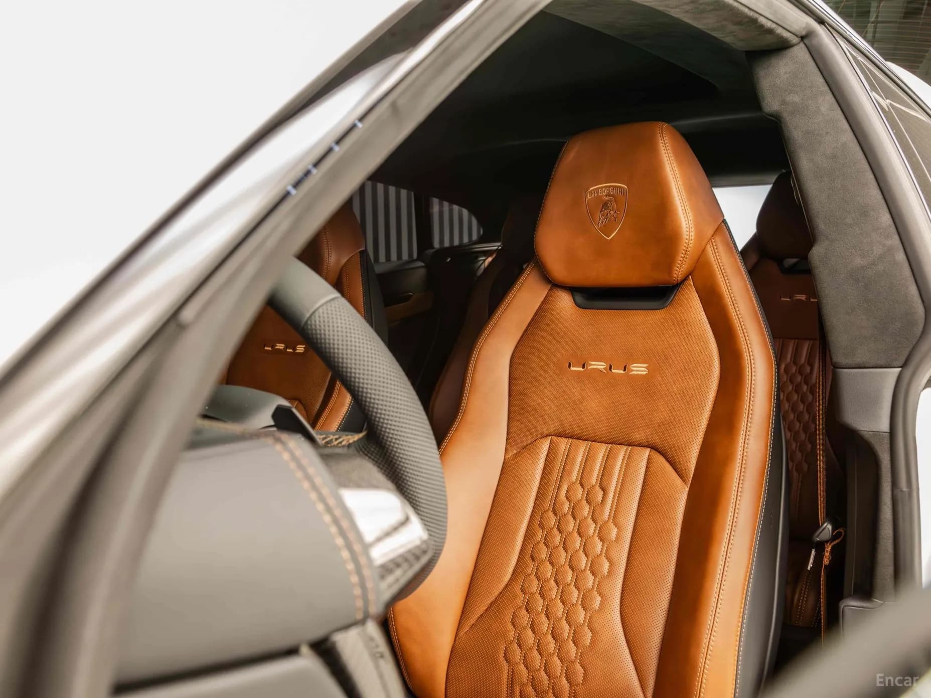 Urus