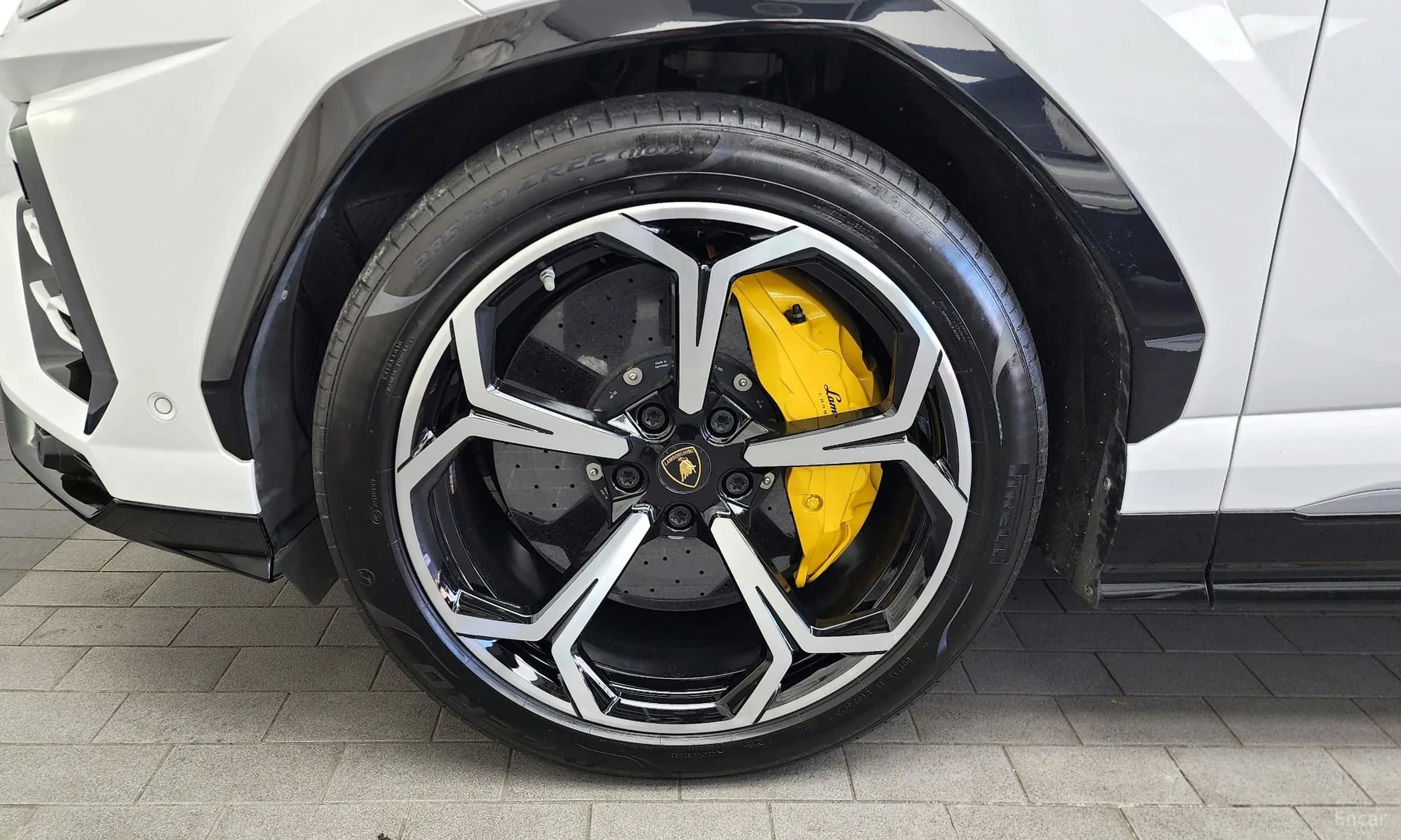 Urus