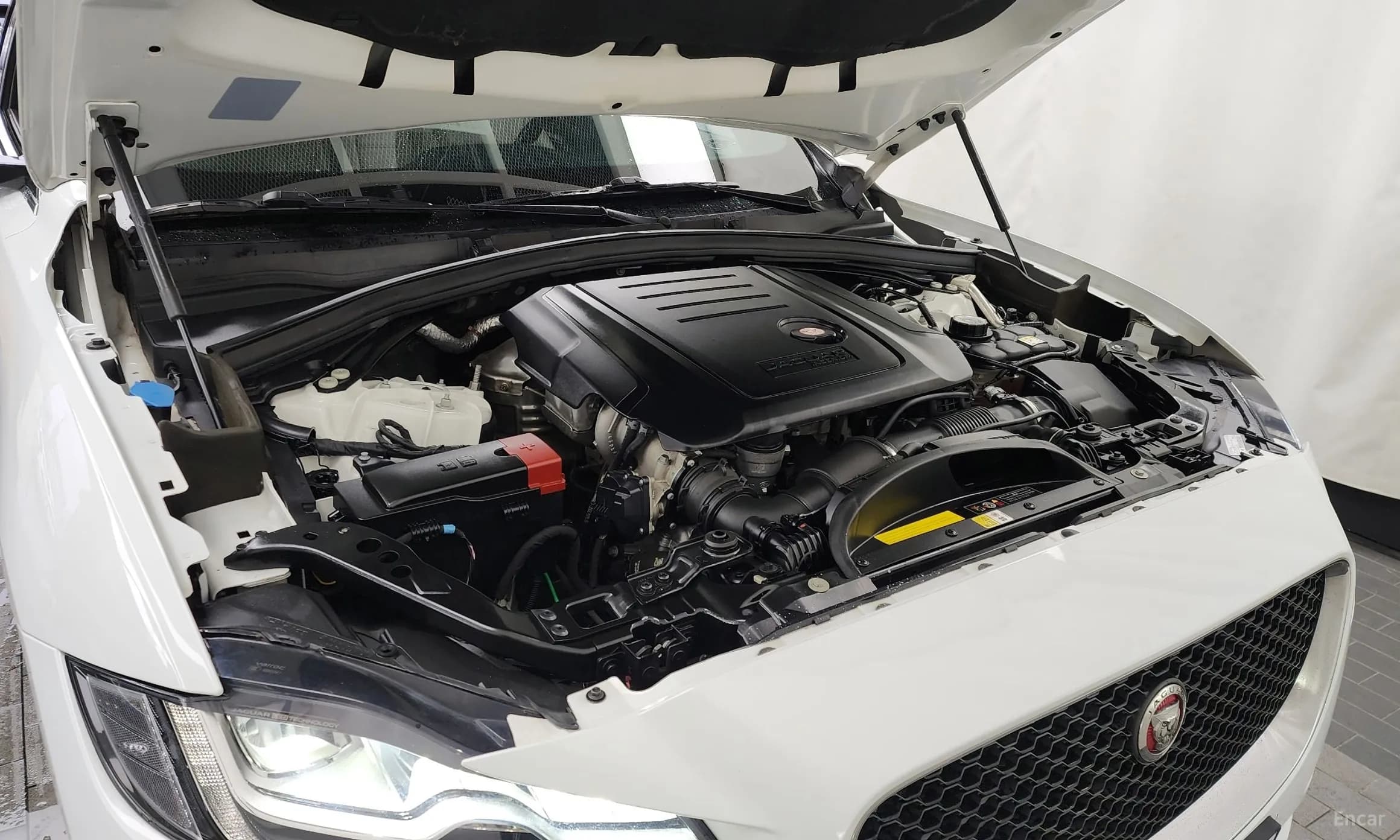 F-PACE