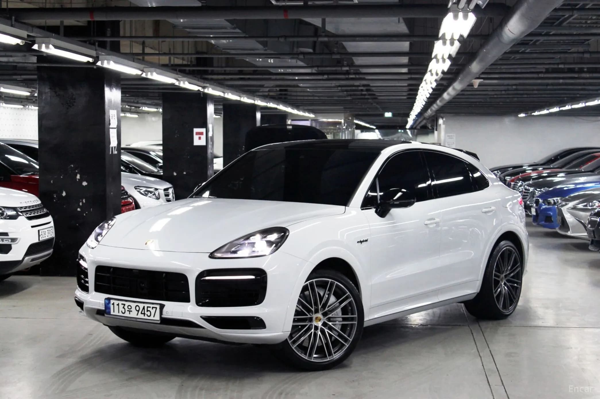 Cayenne (PO536)