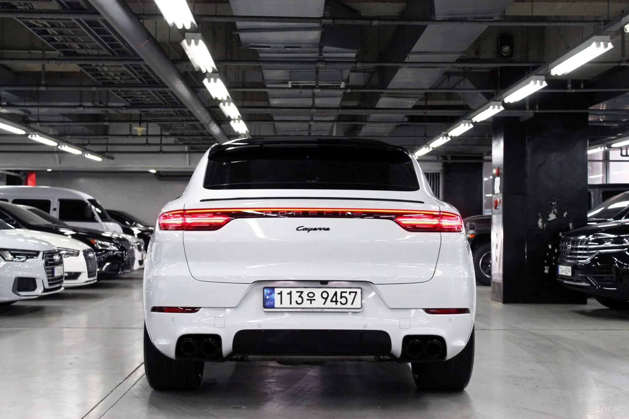 Cayenne (PO536)