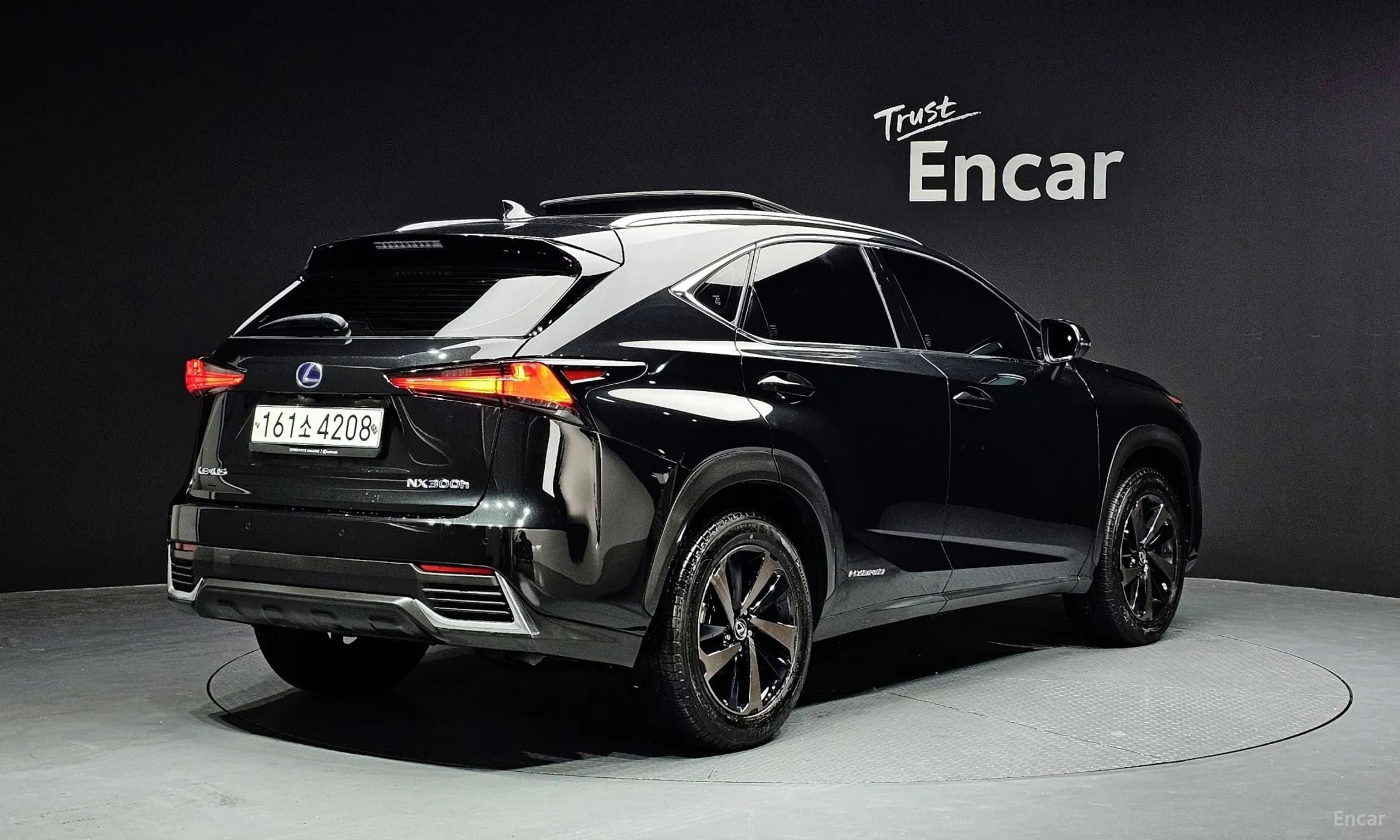NX300h