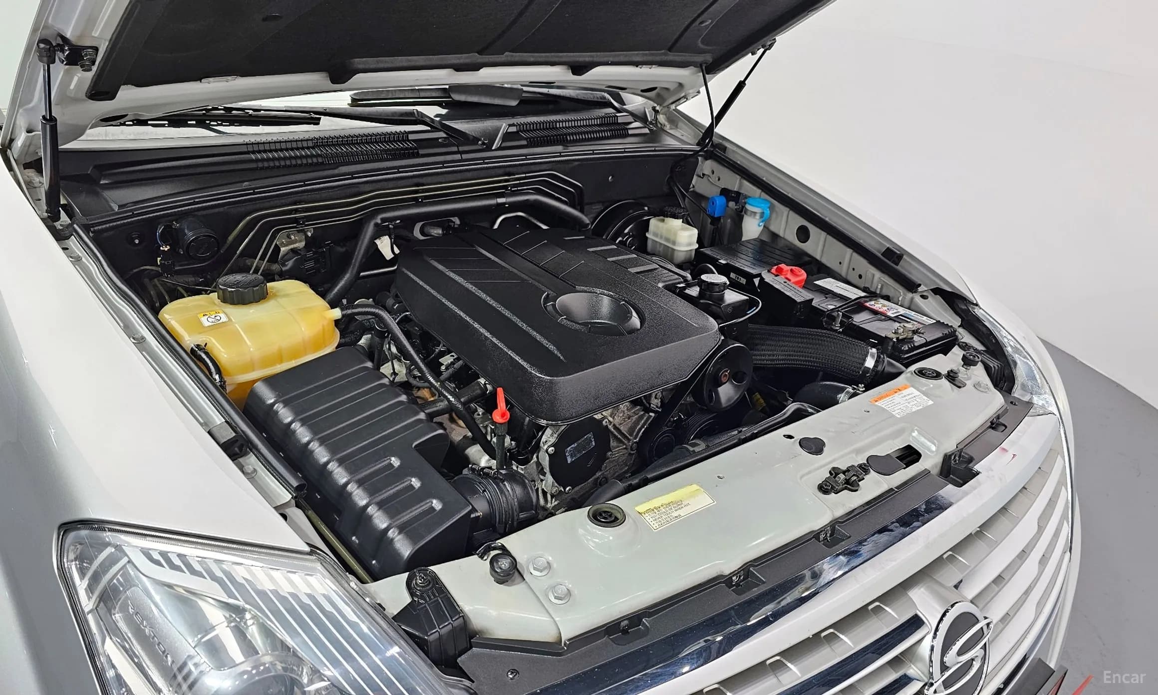 Rexton W