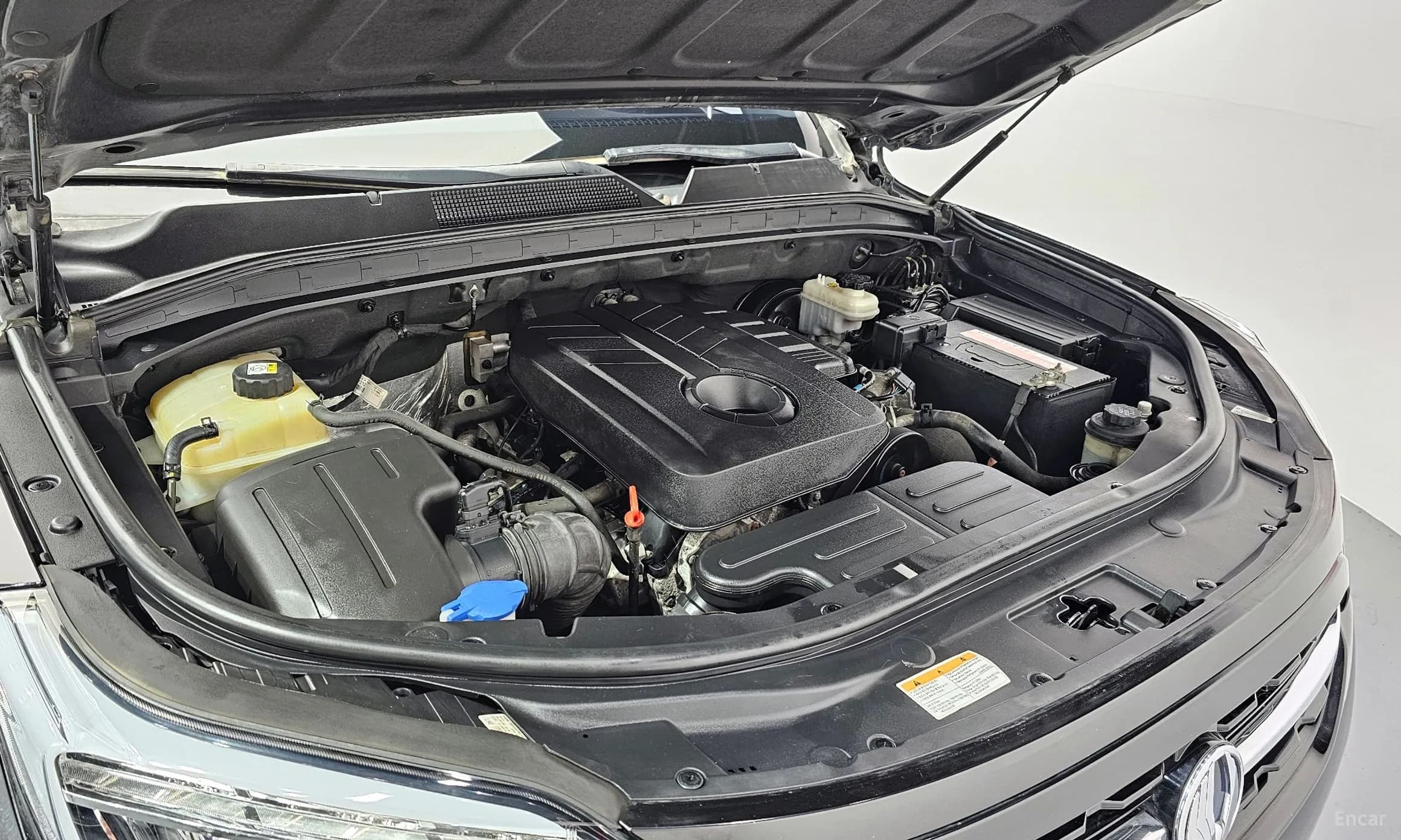 Rexton Sports