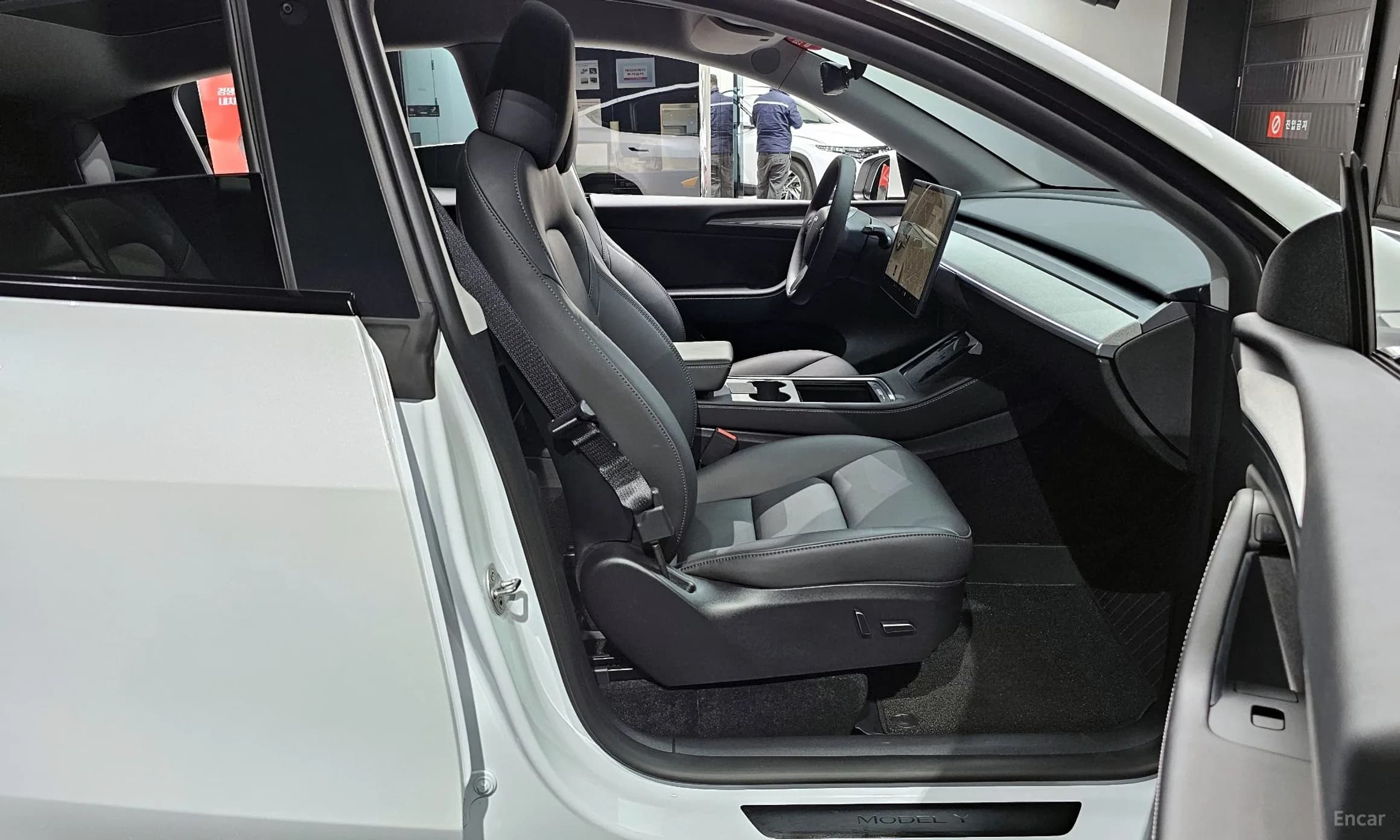 Model Y