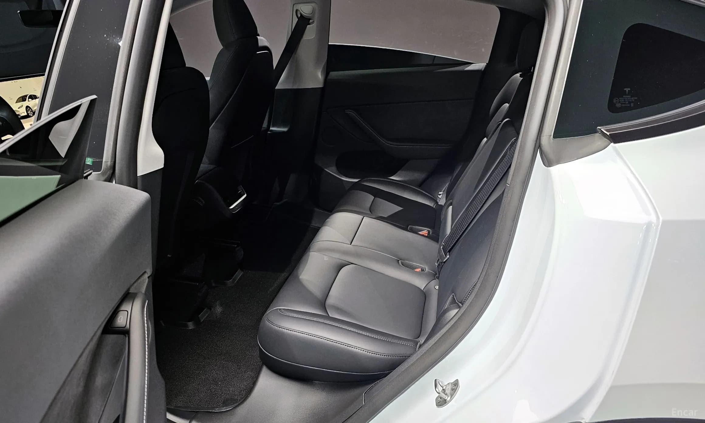 Model Y