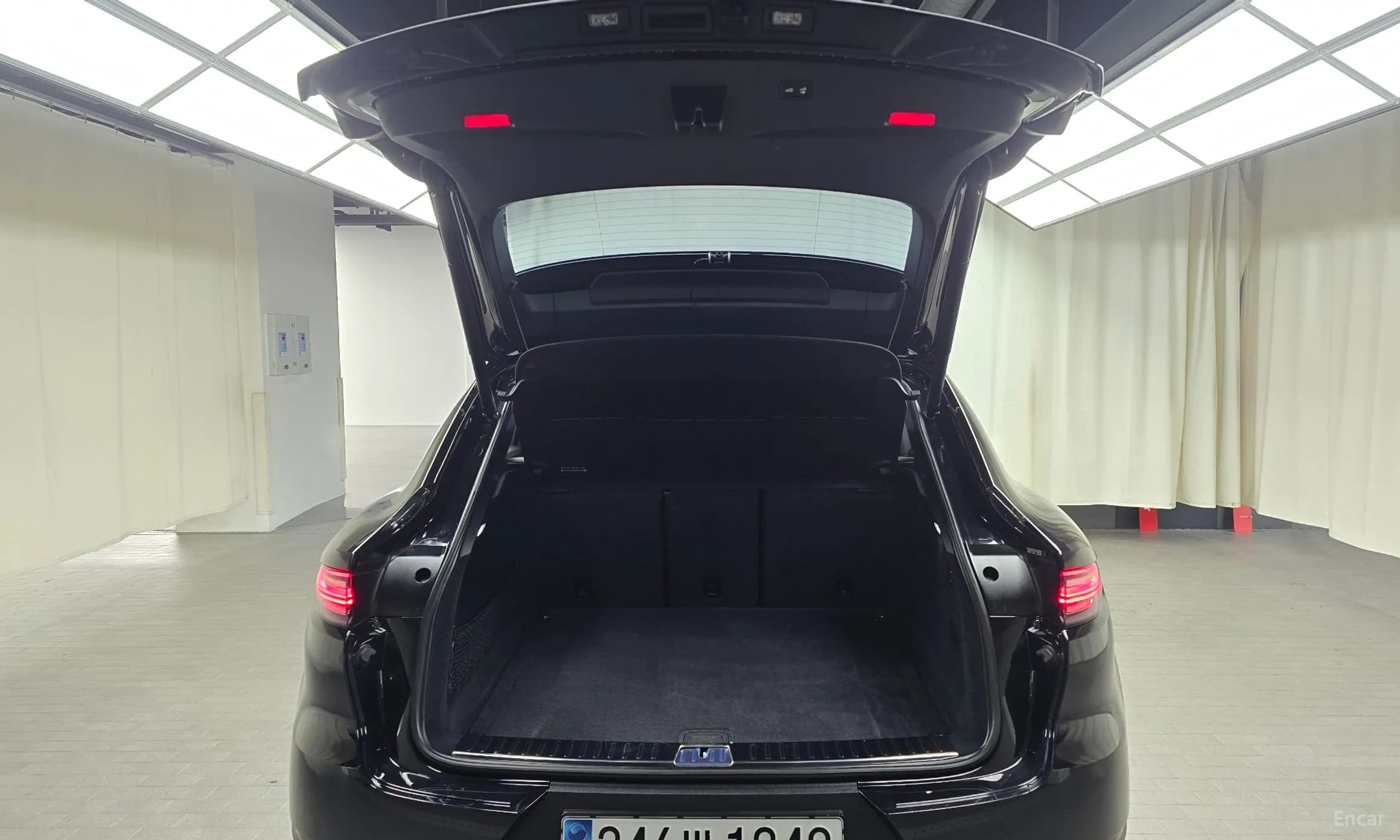 Cayenne (PO536)
