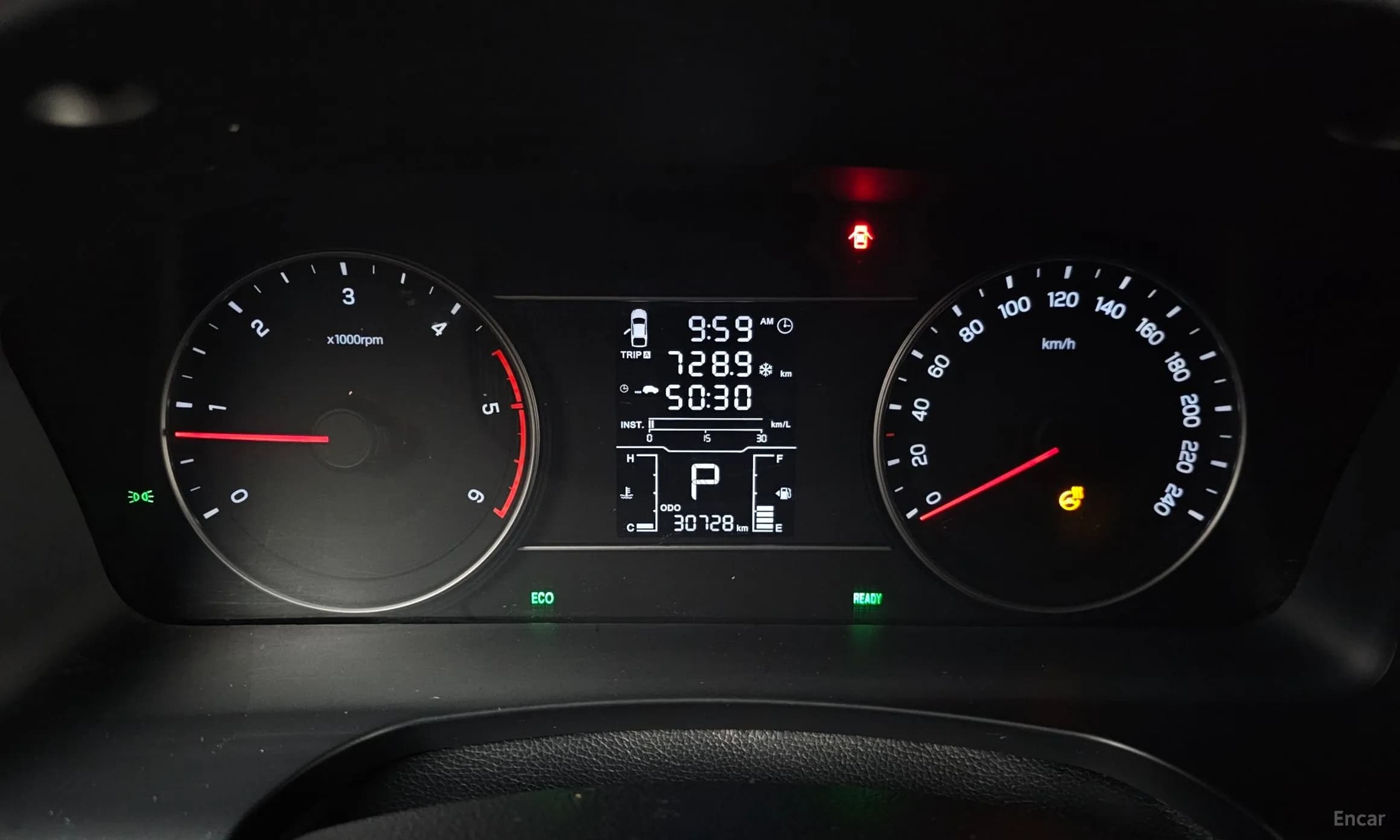 Rexton Sports