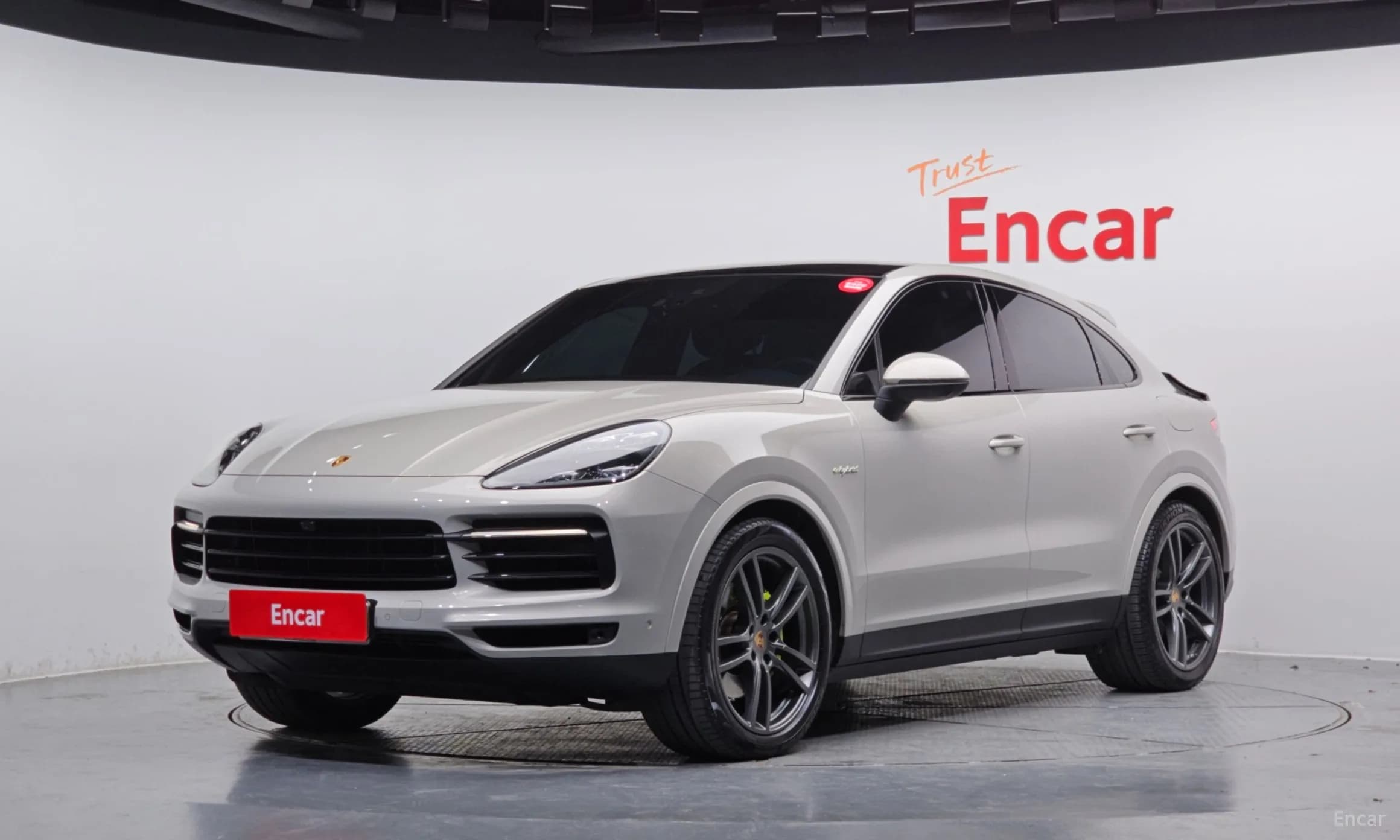 Cayenne (PO536)