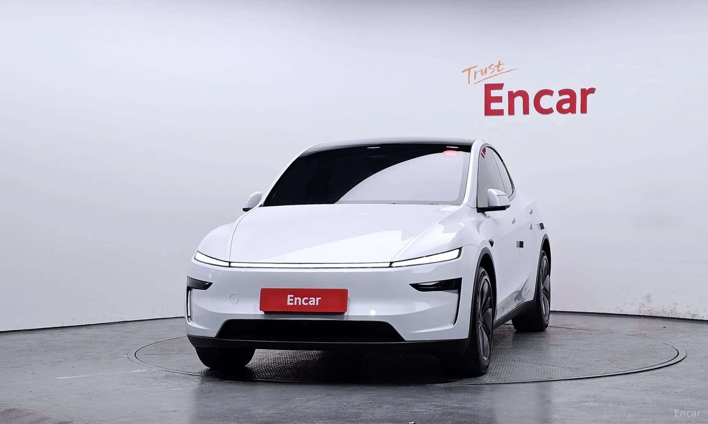 Model Y