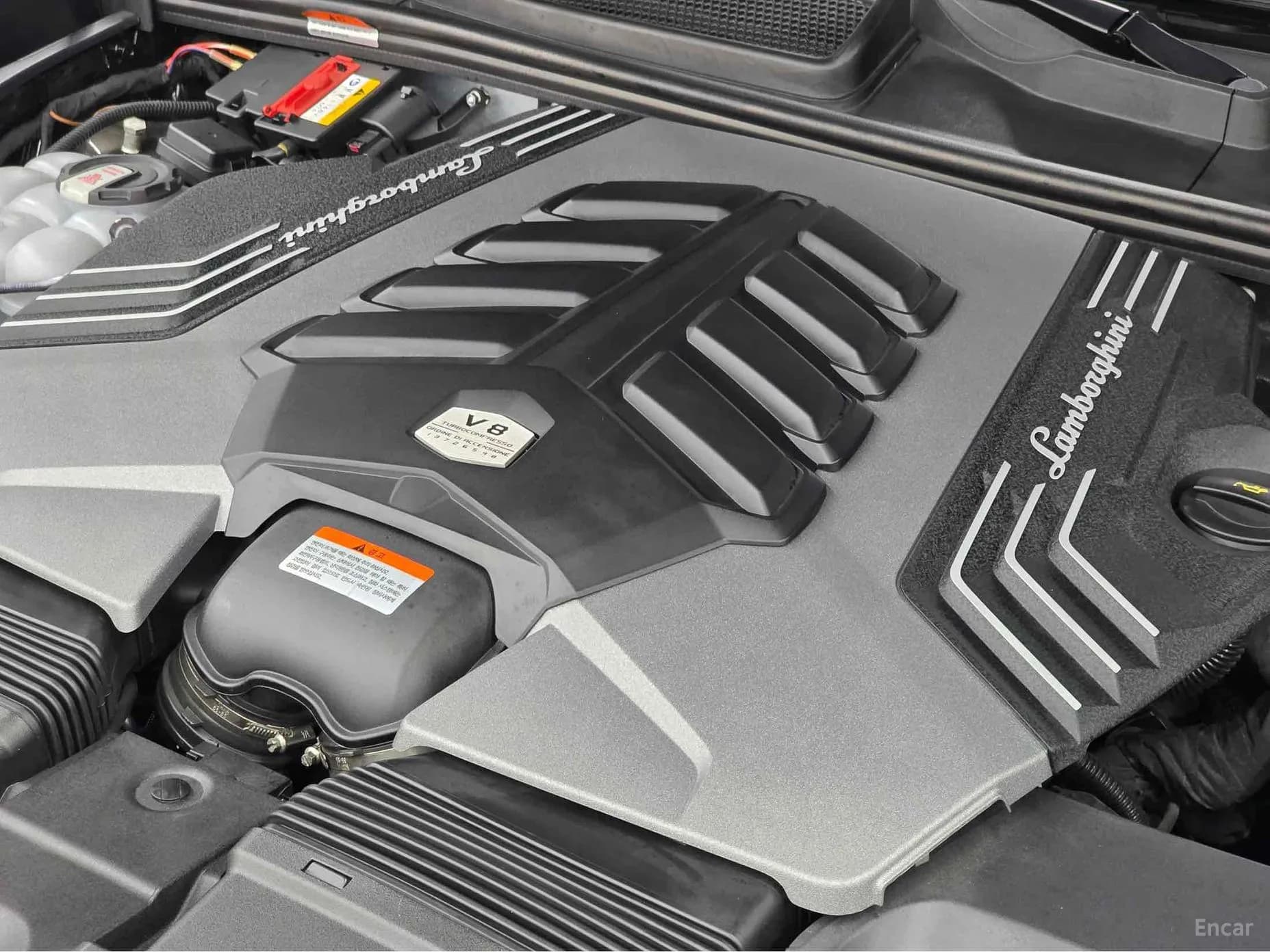 Urus
