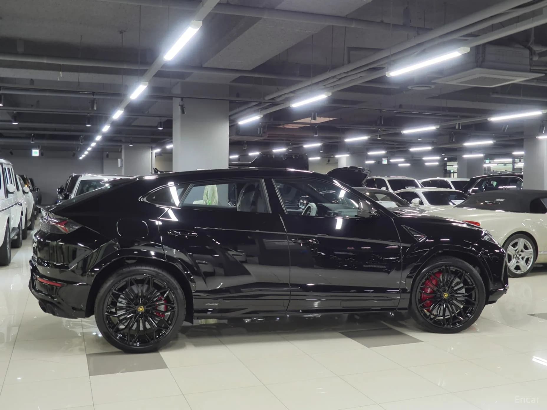 Urus