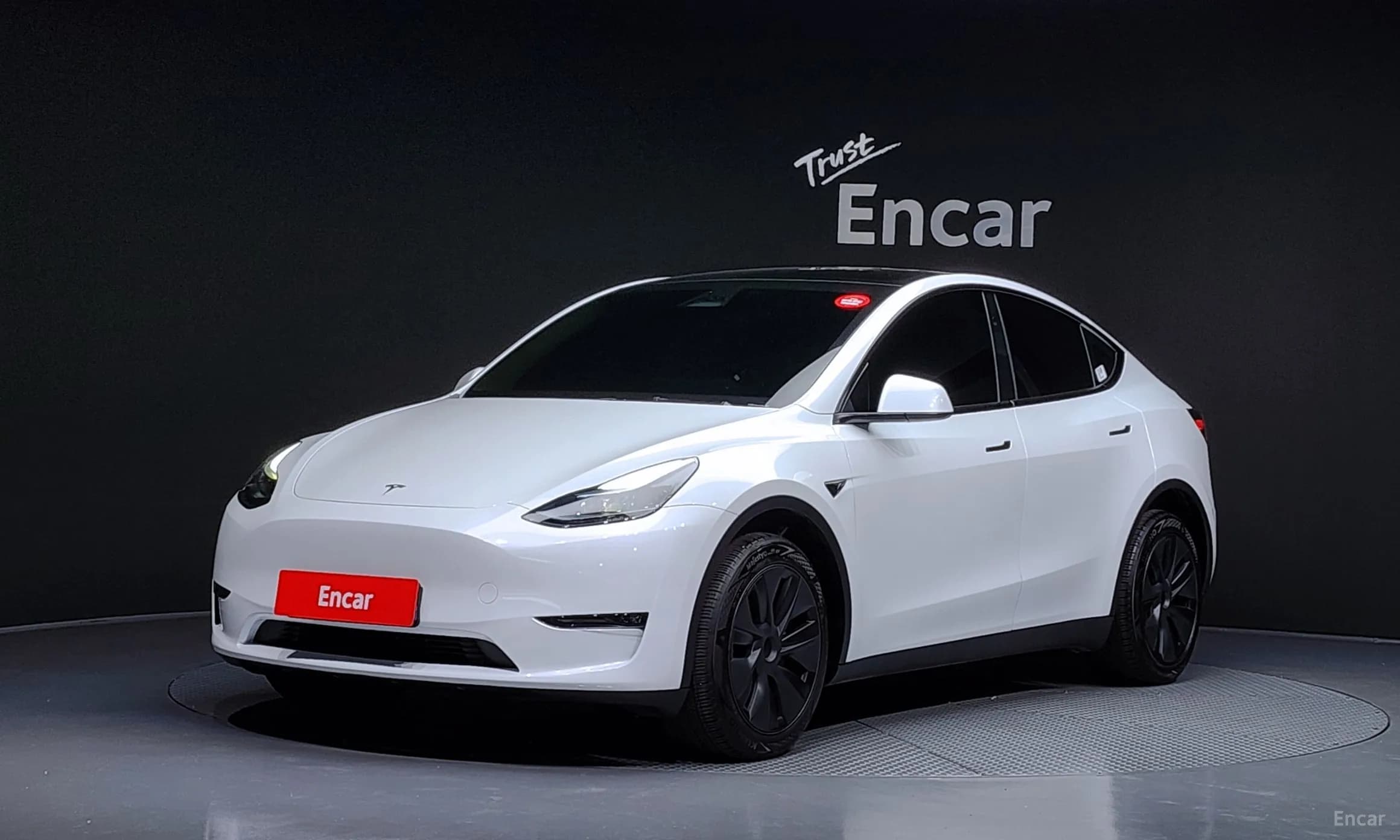 Model Y